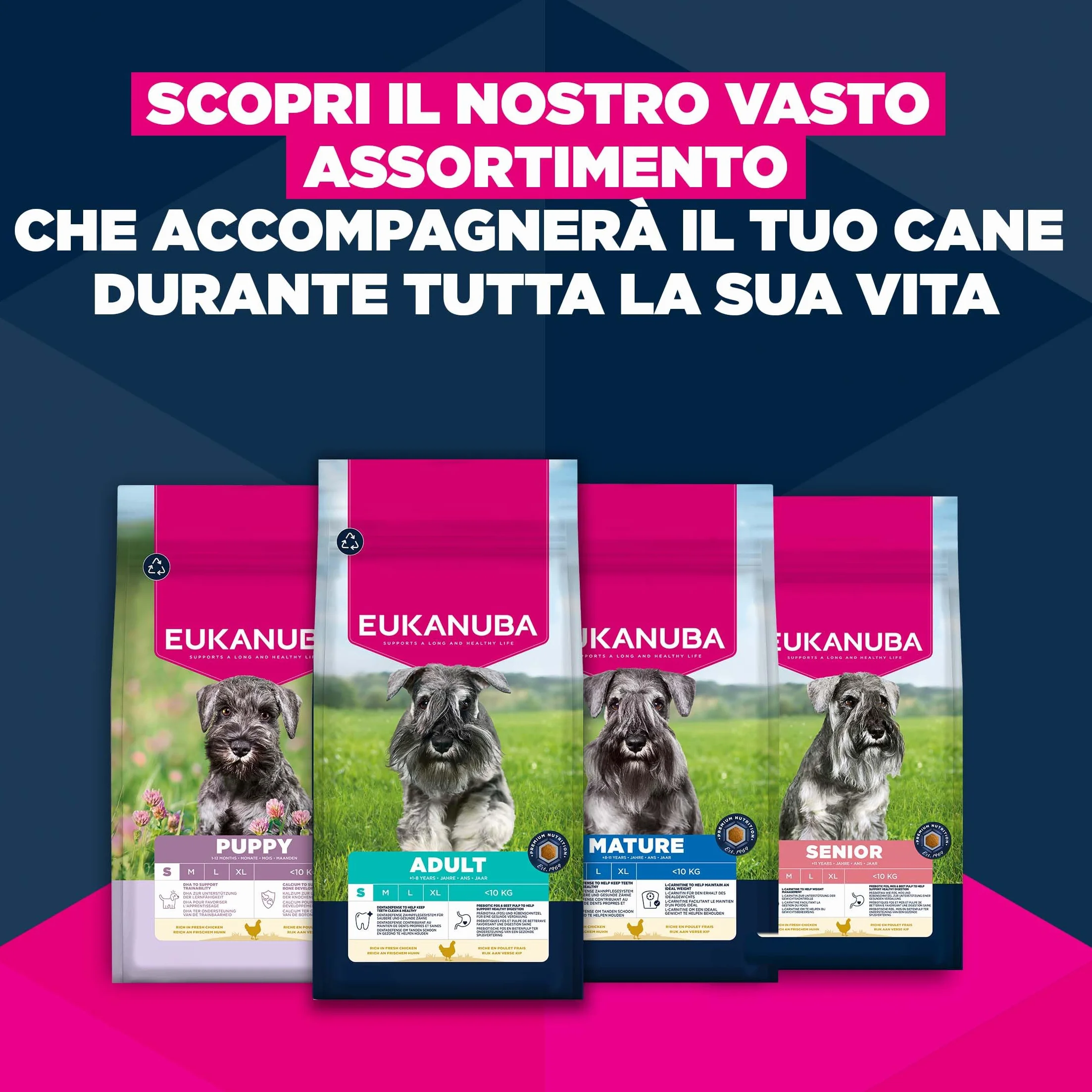 EUKANUBA Cibo secco per Cani con pollo fresco per razze di taglia piccola - Alimento secco premium per Cani adulti, 3 kg