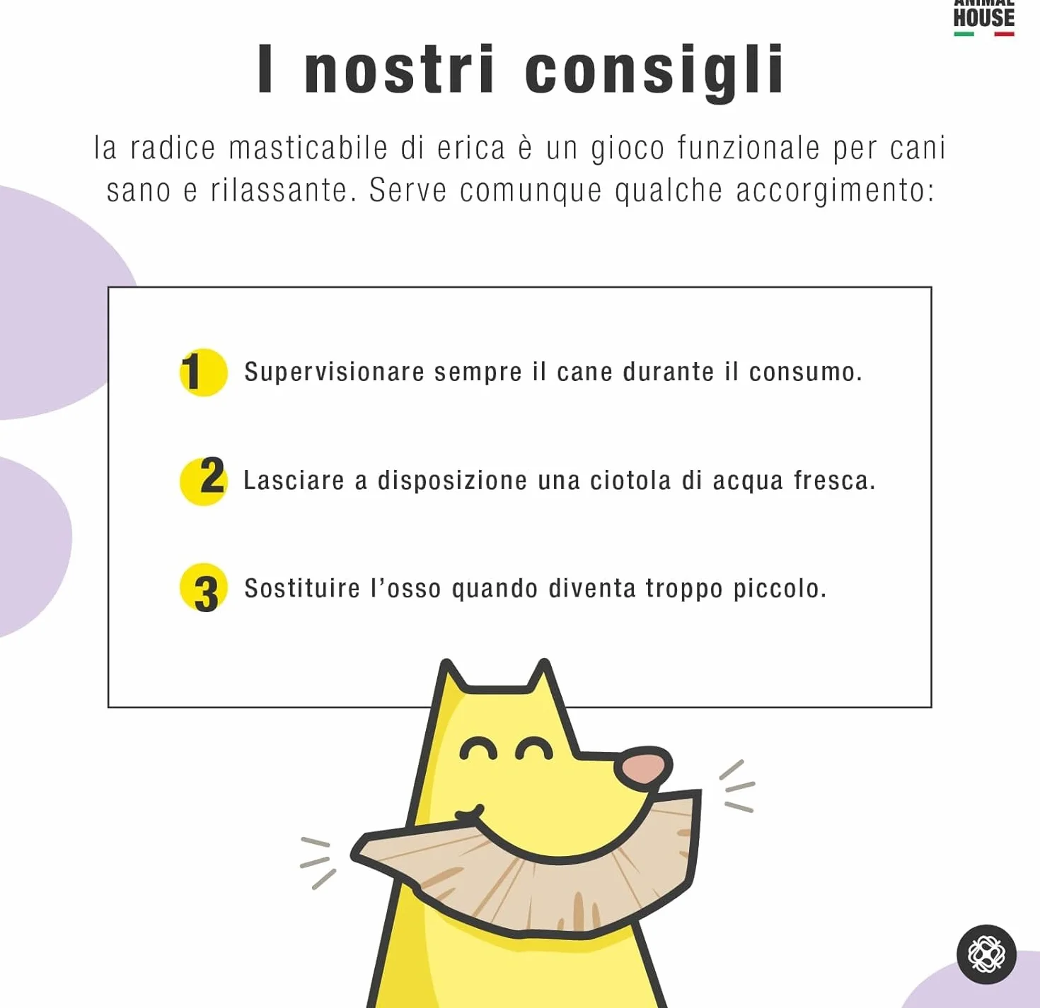 Animal House Radice di Erica per Cani, Masticativo Naturale, Ottimizza l'igiene Orale, Antistress per cani, Resistente e Duraturo (L)