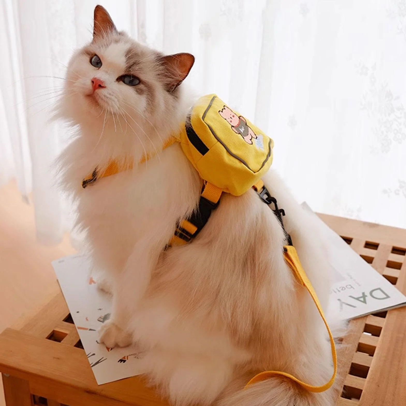 Pettorina per cani con zaino – Twill – Zainetto per cani con guinzaglio – Grazioso zaino per gatti, sella colorata per cani, accessorio da viaggio per amici di famiglia o