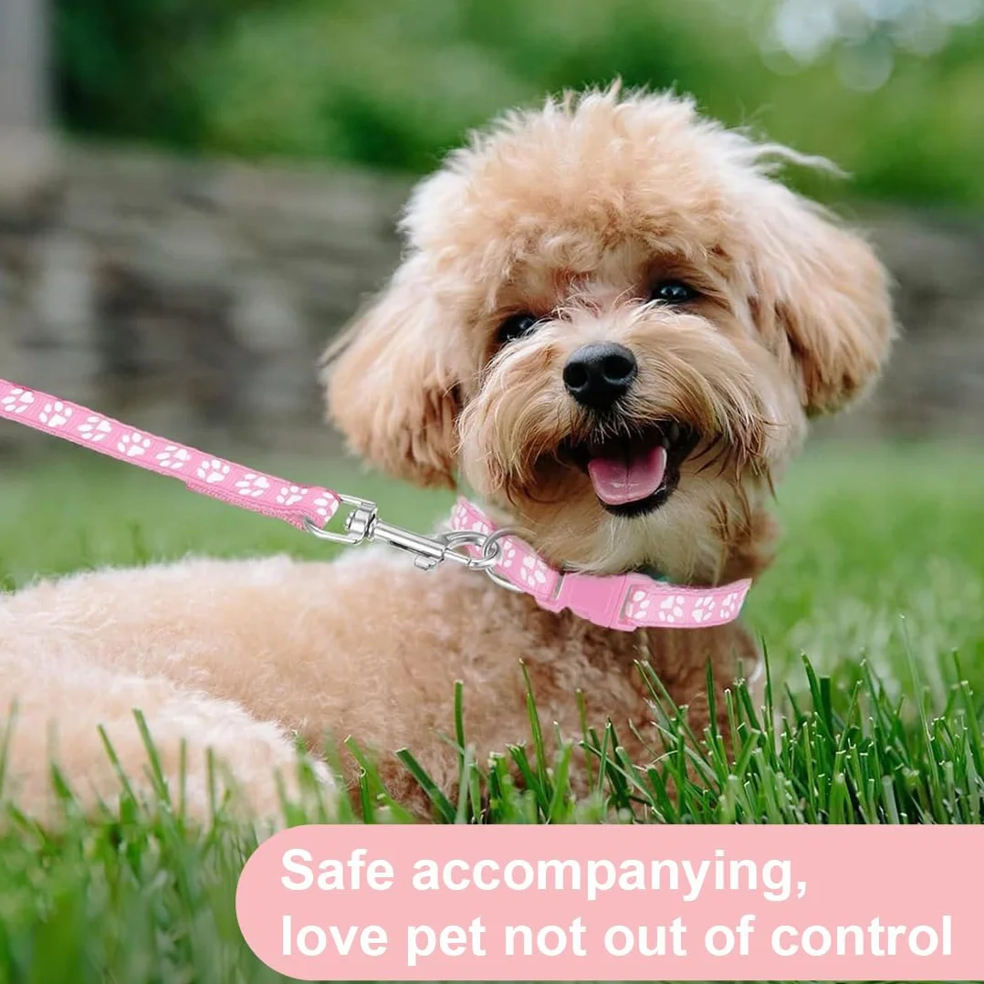 Collare Cane,collari e guinzaglio,Guinzaglio per Cani, regolabile per cani e gatti, con guinzaglio a sgancio rapido con fibbia per cani di piccola taglia e gatti cuccioli (rosa)