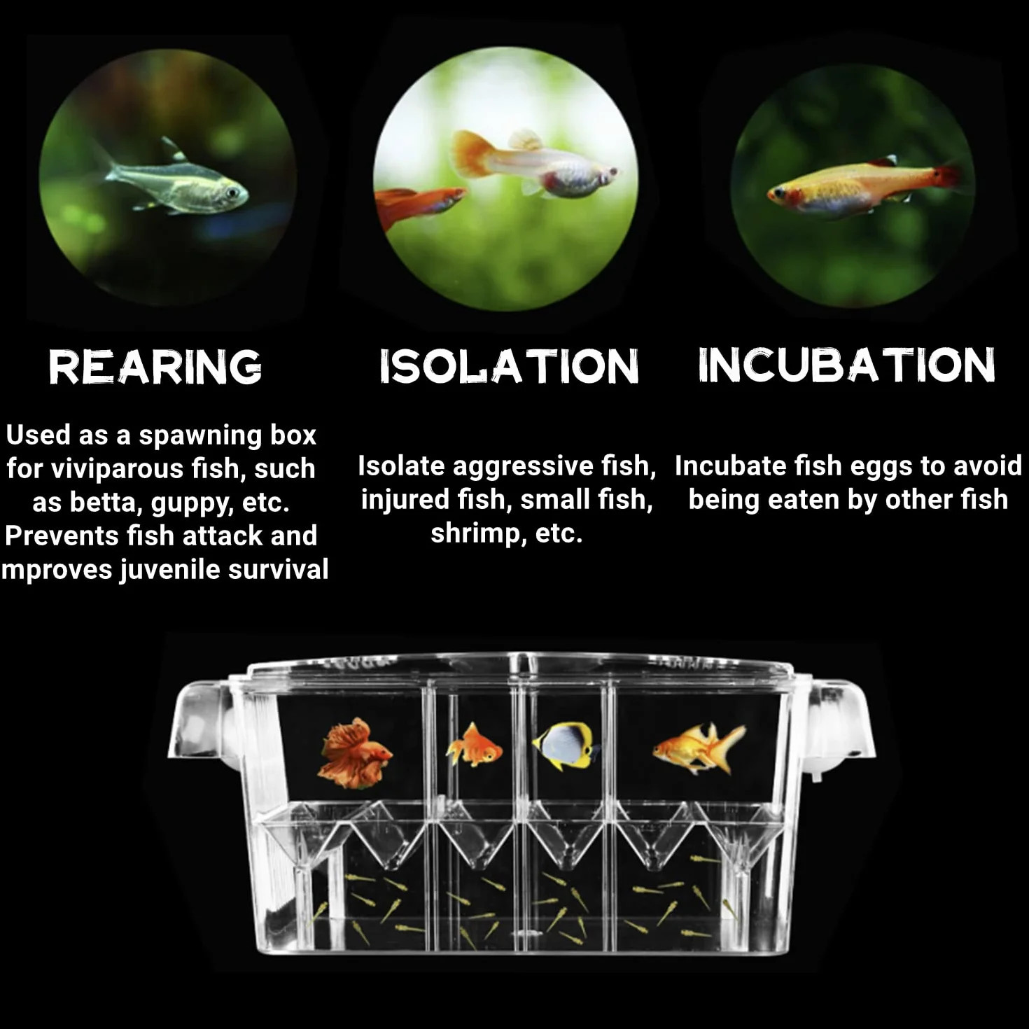 Scatola di Allevamento di Pesci Sale Parto per Pesci 4 IN 1 Serbatoio Incubatrice Incubatrice Acquario Scatola di Isolamento per Gamberetti Bambino Guppy Vassoio di Isolamento Allevamento