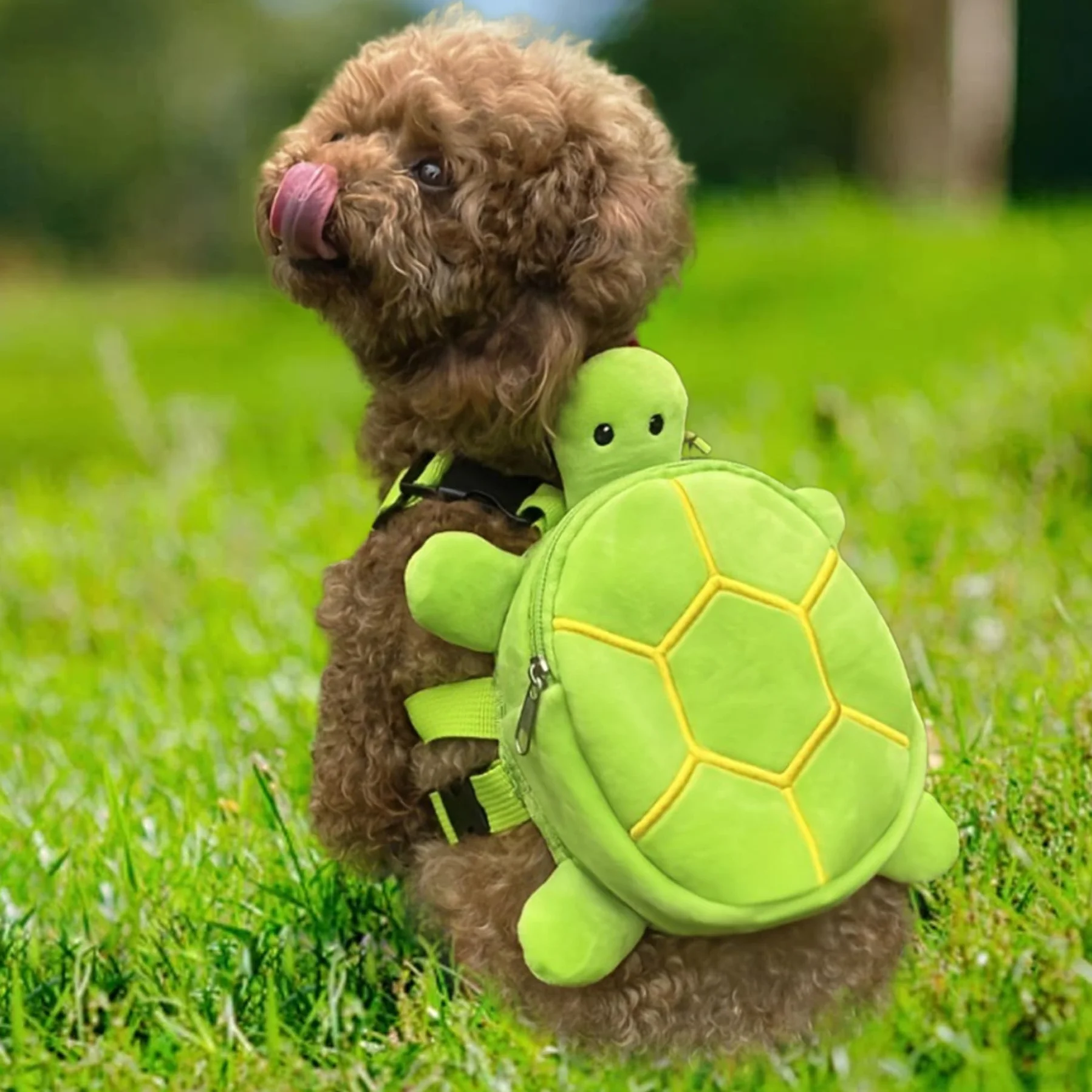 Cablatura per Cani con Zaino, 8x7in Simpatico Zaino per Cani Tartaruga, Zaino Regolabile per i Cani da Indossare, Zaino con Imbracatura a Piedi per Piccoli Cani Medium