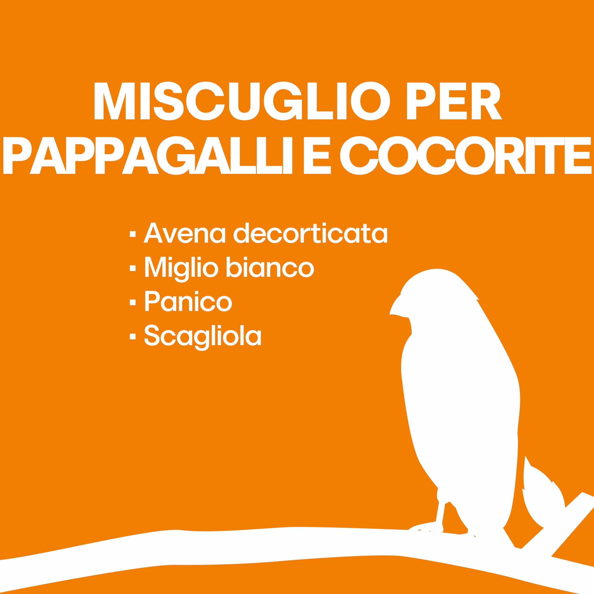 MISCUGLIO per PAPPAGALLI e COCORITE Il Contadino 1 kg Formula Ricca di Semi Selezionati No OGM