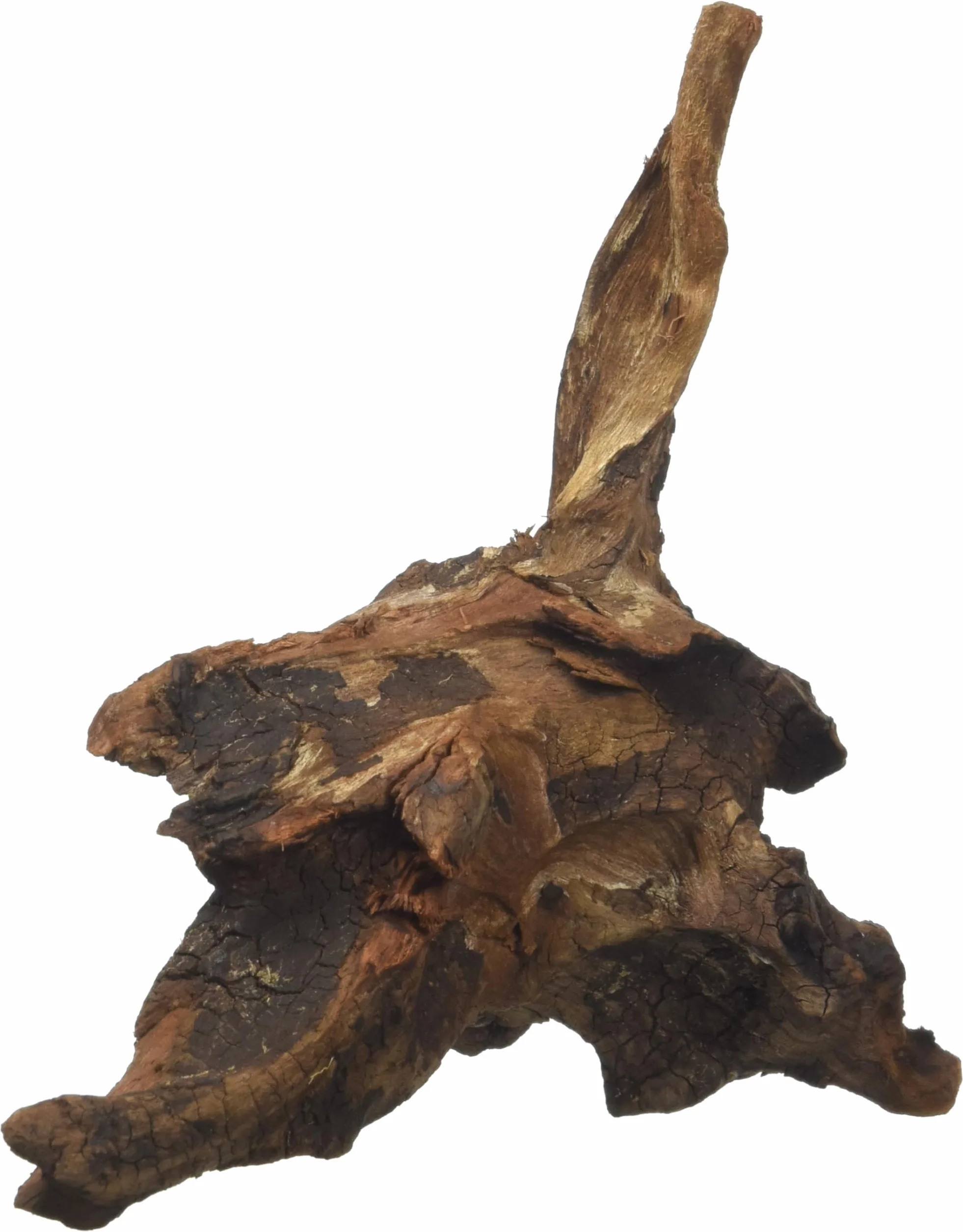 Amtra Legno Mystic Wood - Decorazione per acquario naturale, per acquario, paludari e terrari, 15-20 CM