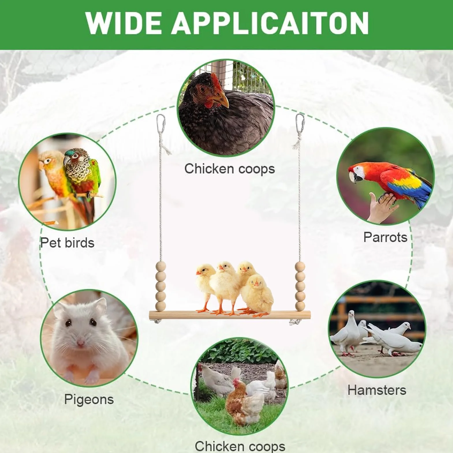 Altalena Per Galline Posatoio In Legno Naturale Stabile Interattivo Arricchimento Riposo Pappagalli
