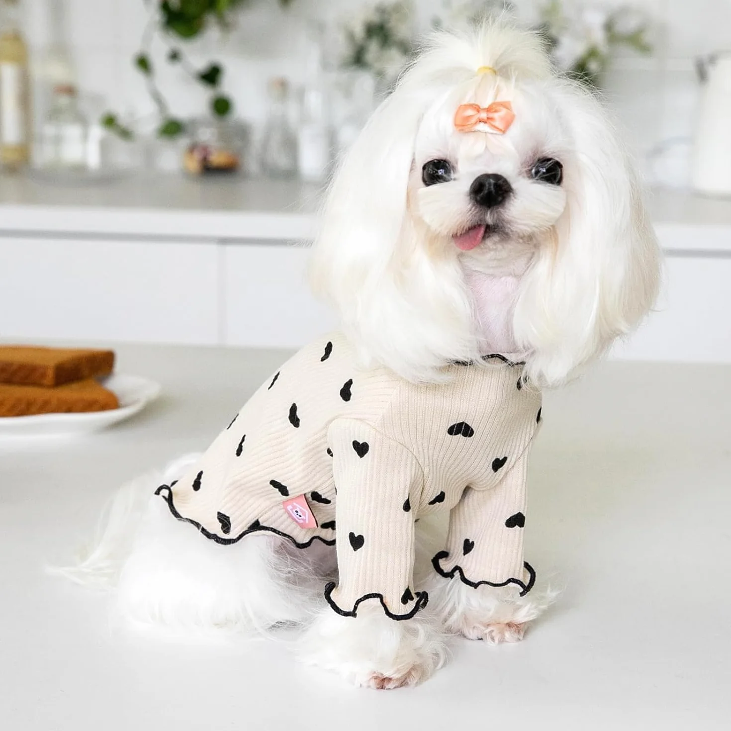 Haustierkleidung für kleine Hunde und Katzen, Sommer, Herz, bedruckt, dehnbar, langärmelig, Outfits für Chihuahua, Yorkie (Kaffee, XS)