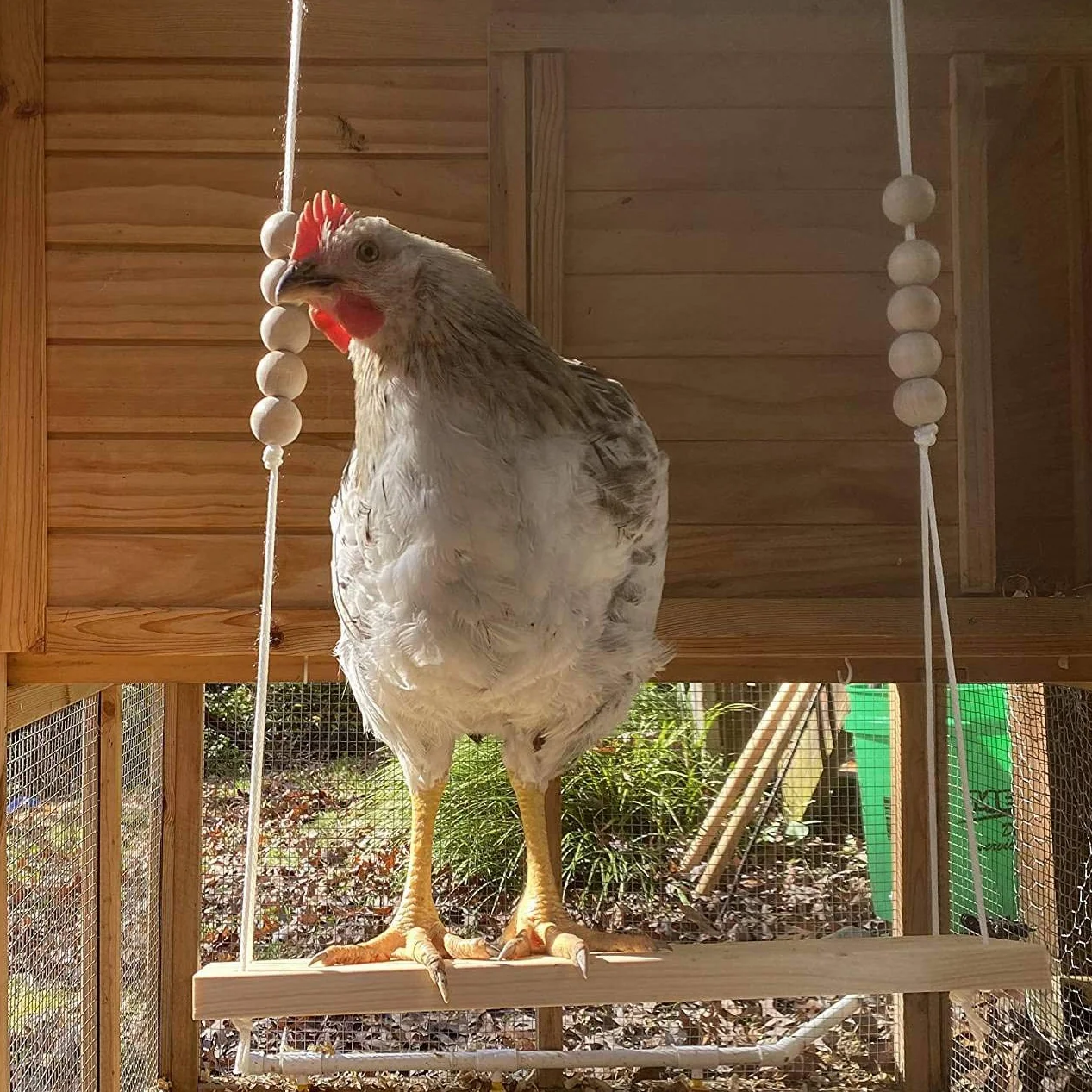 Giocattolo Altalena di Pollo in Legno Naturale per Galline da Cortile