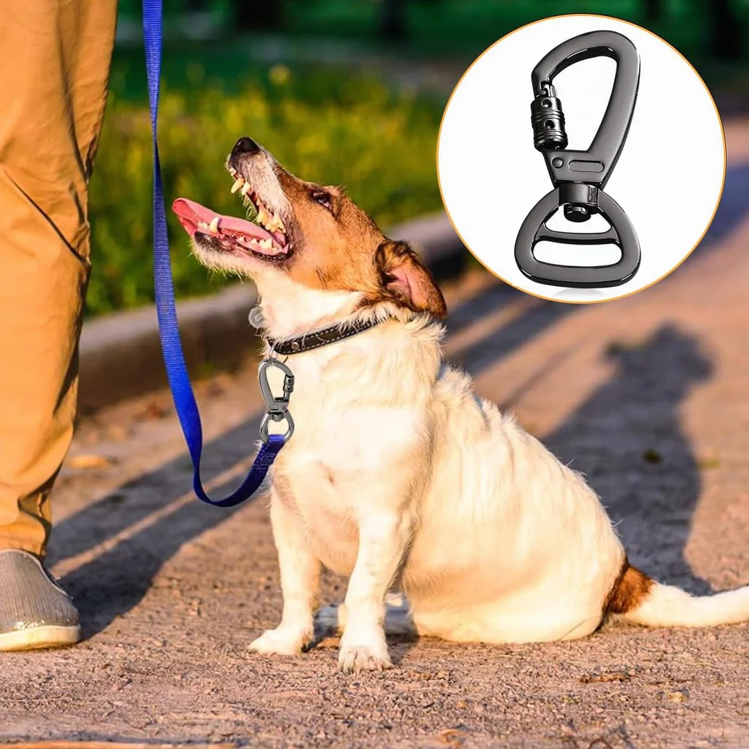 2 PCS Moschettone per Guinzaglio per Cani, Ganci Portachiavi, Moschettoni Forma D in Acciaio Inox, Utilizzati per Alpinismo, Moschettone in Acciaio 60 mm da Utilizzare con Guinzaglio Paracord