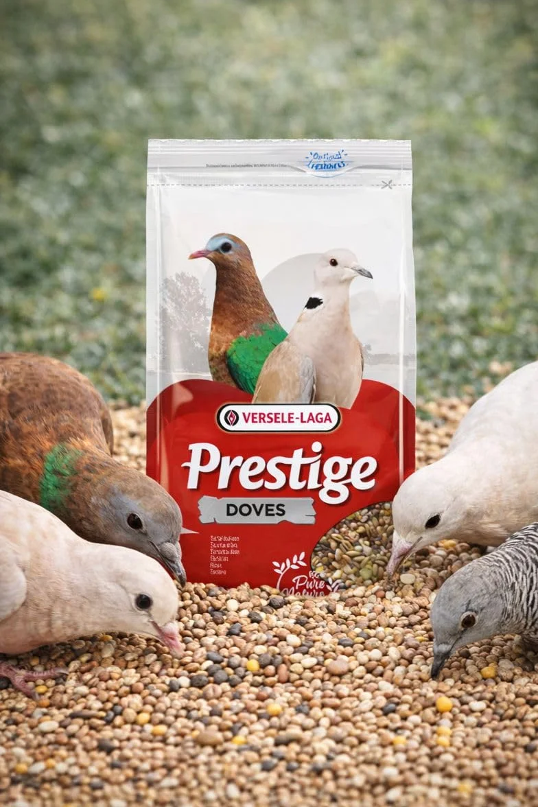 Versele-laga Prestige Alimento Semi per Piccioni 4 kg