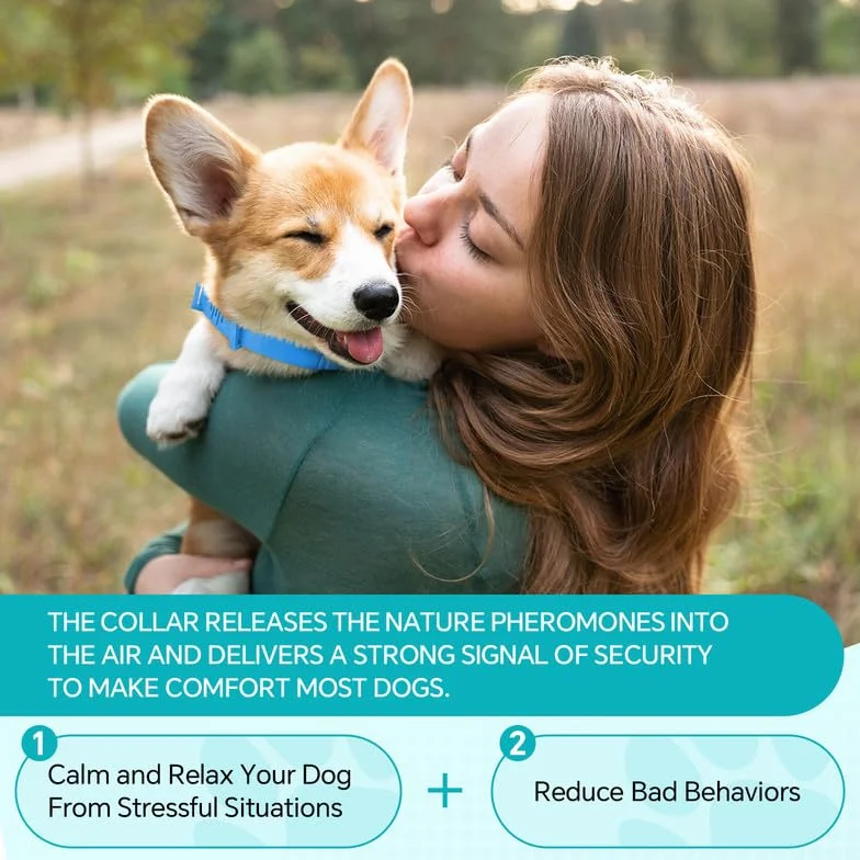WEALLIN Collare Calmante Anti-Ansia per Cani, Regolabile e Impermeabile, Feromoni Naturali 60 Giorni (2pz), Blu