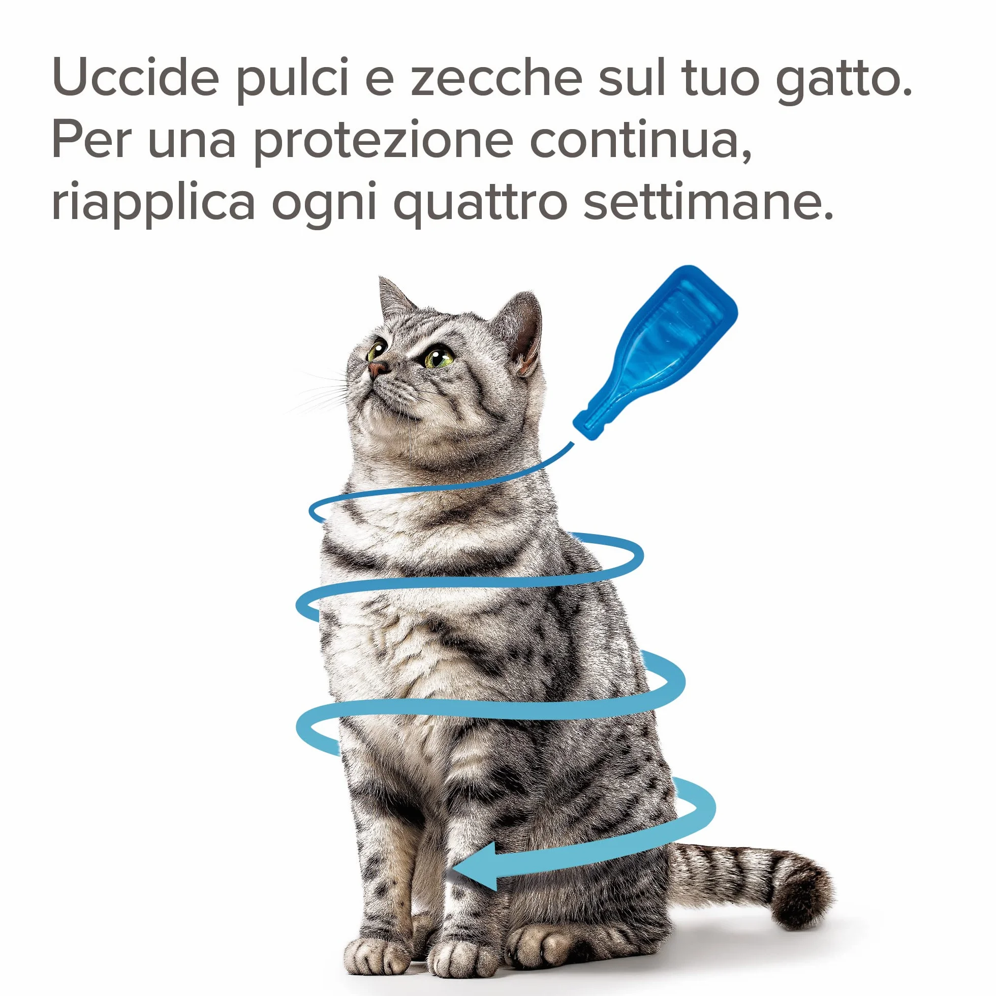 Beaphar FIPROtec Antiparassitario per Gatti, Protegge da Pulci e Zecche - 3 Pipette