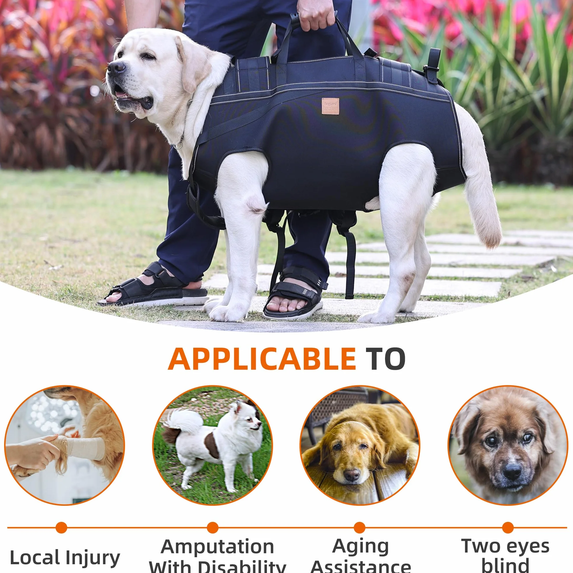 Imbracatura da trasporto per cani di grandi dimensioni, zaino per cani anziani, per lesioni articolari, artrite, scale su e giù, passeggiate paralisi, XXXL per cani da 29,9 a 37,6 kg