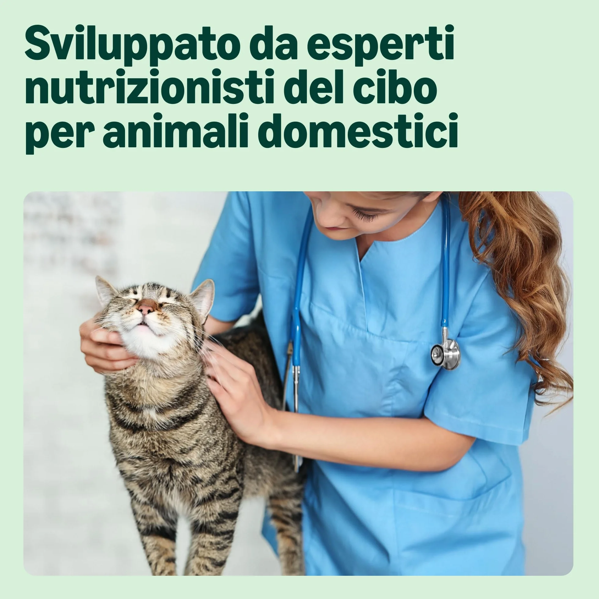 Amazon Alimento completo senza cereali per gatti adulti, selezione mista in gelatina, 4,8 kg (48x100 g)