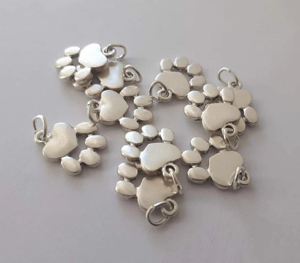 Ciondoli Zampetta Cane e Gatto Placcati Argento 10 Charm Fai da Te Gioielli Bracciali Zampa Cucciolo 1,6 cm