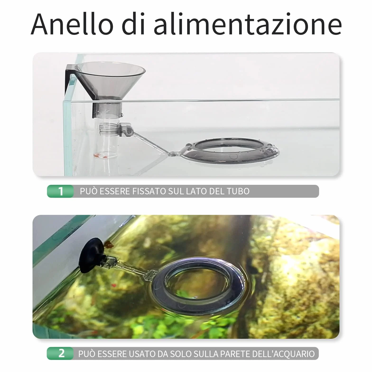 boxtech Tubo di Alimentazione Acquario, Mangiatoia per Pesce e Gamberetti per impedisce la proliferazione incontrollata degli organismi, per Gamberetti, Pesci, tartarughe (20-37cm)