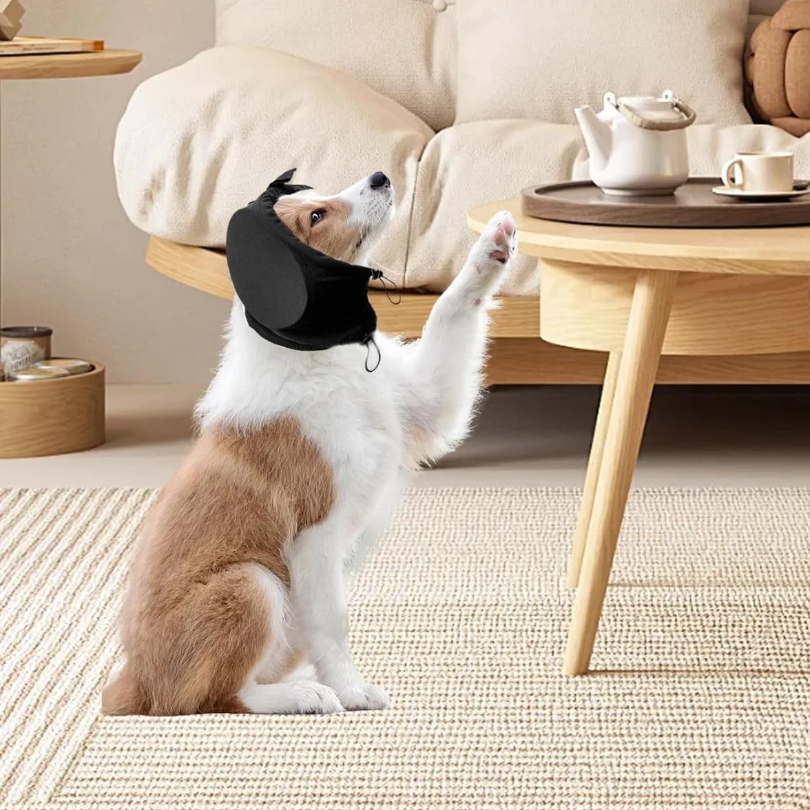 Paraorecchie per cani protezione dal rumore fascia con coulisse per testa inverno