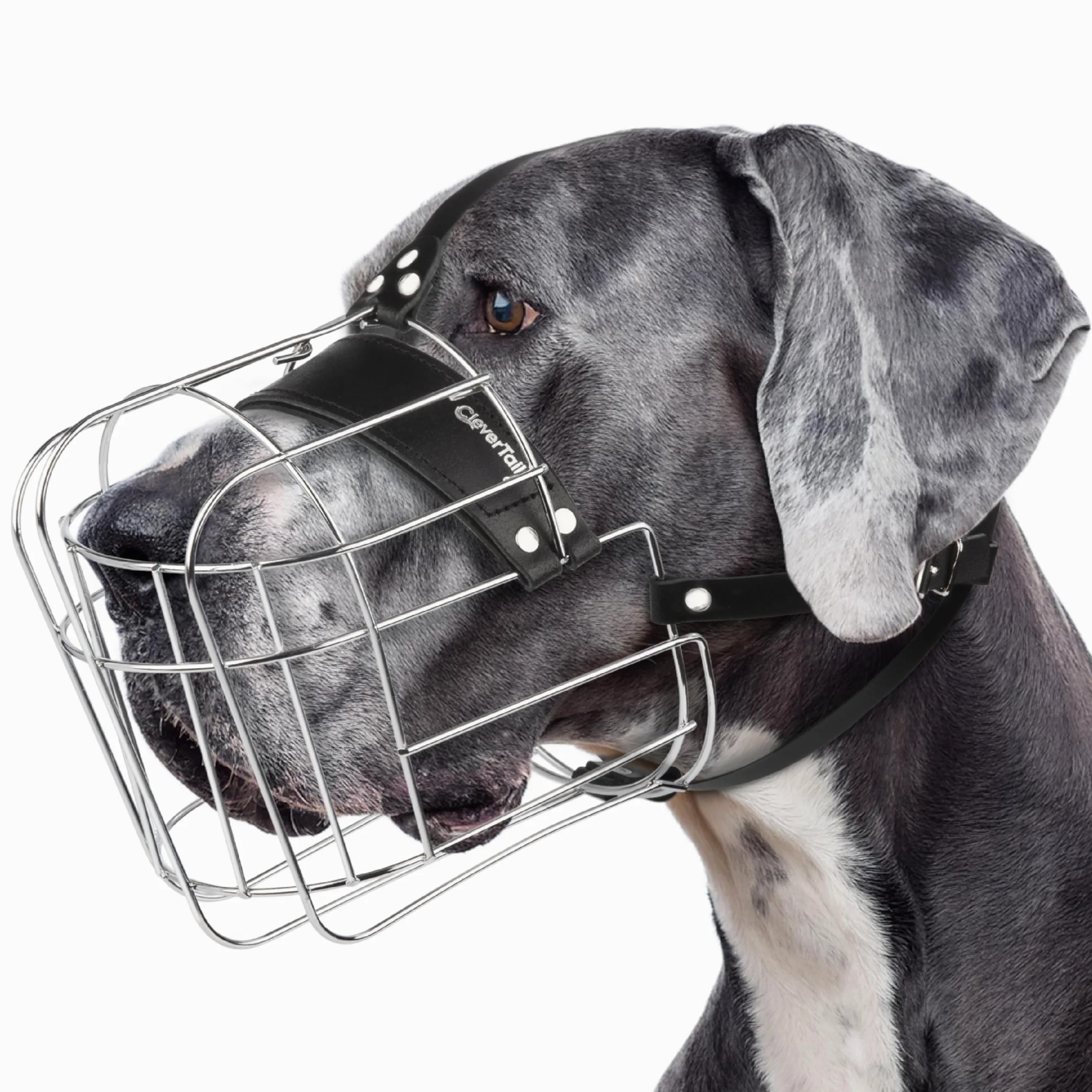 Museruola per cani XL in metallo per alano
