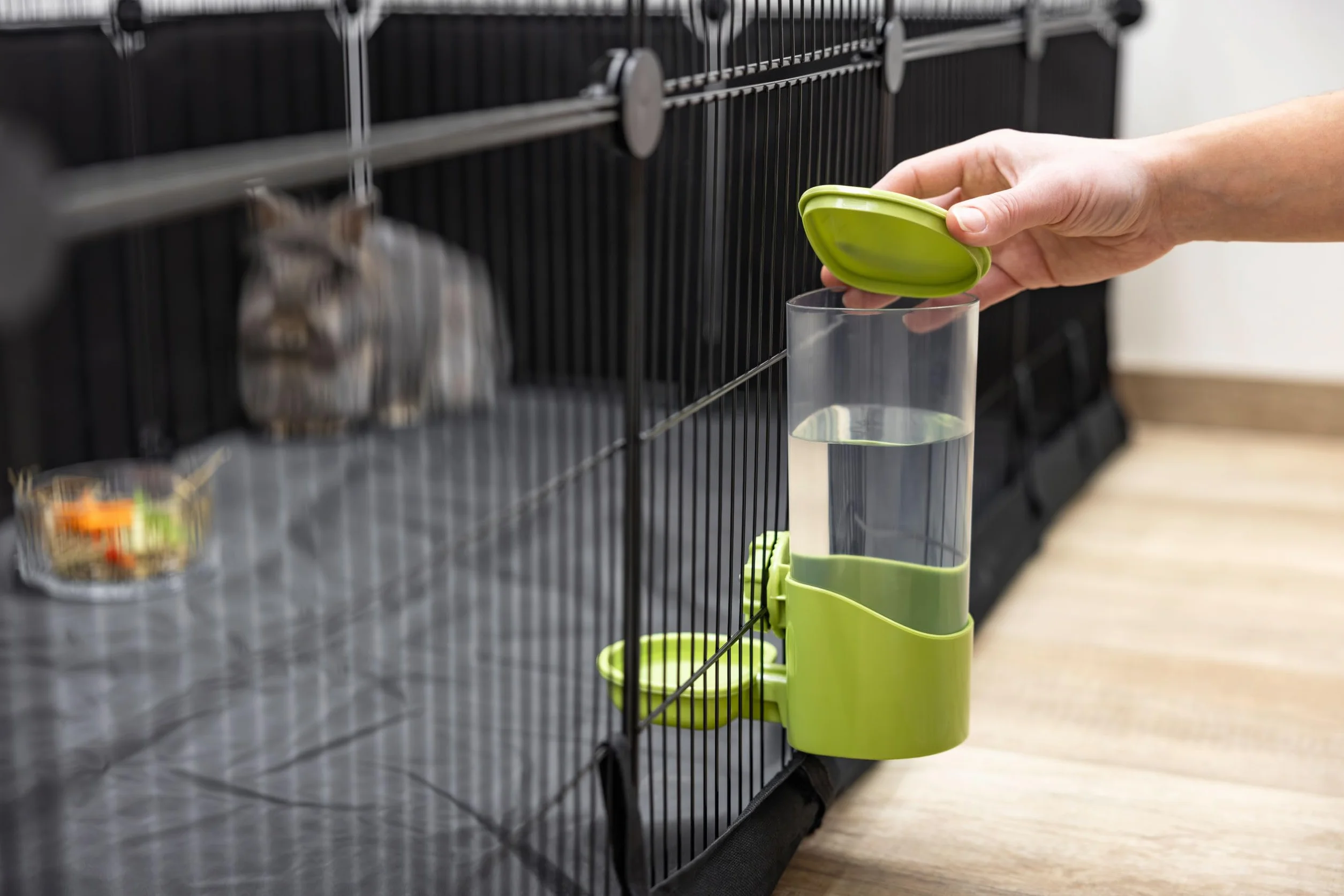 Kerbl Pet Distributore d'Acqua 850 ml, per Conigli e Piccoli Animali, Attacco a griglia, Coperchio Rimovibile, Plastica, Non gocciola, Verde, Trasparente