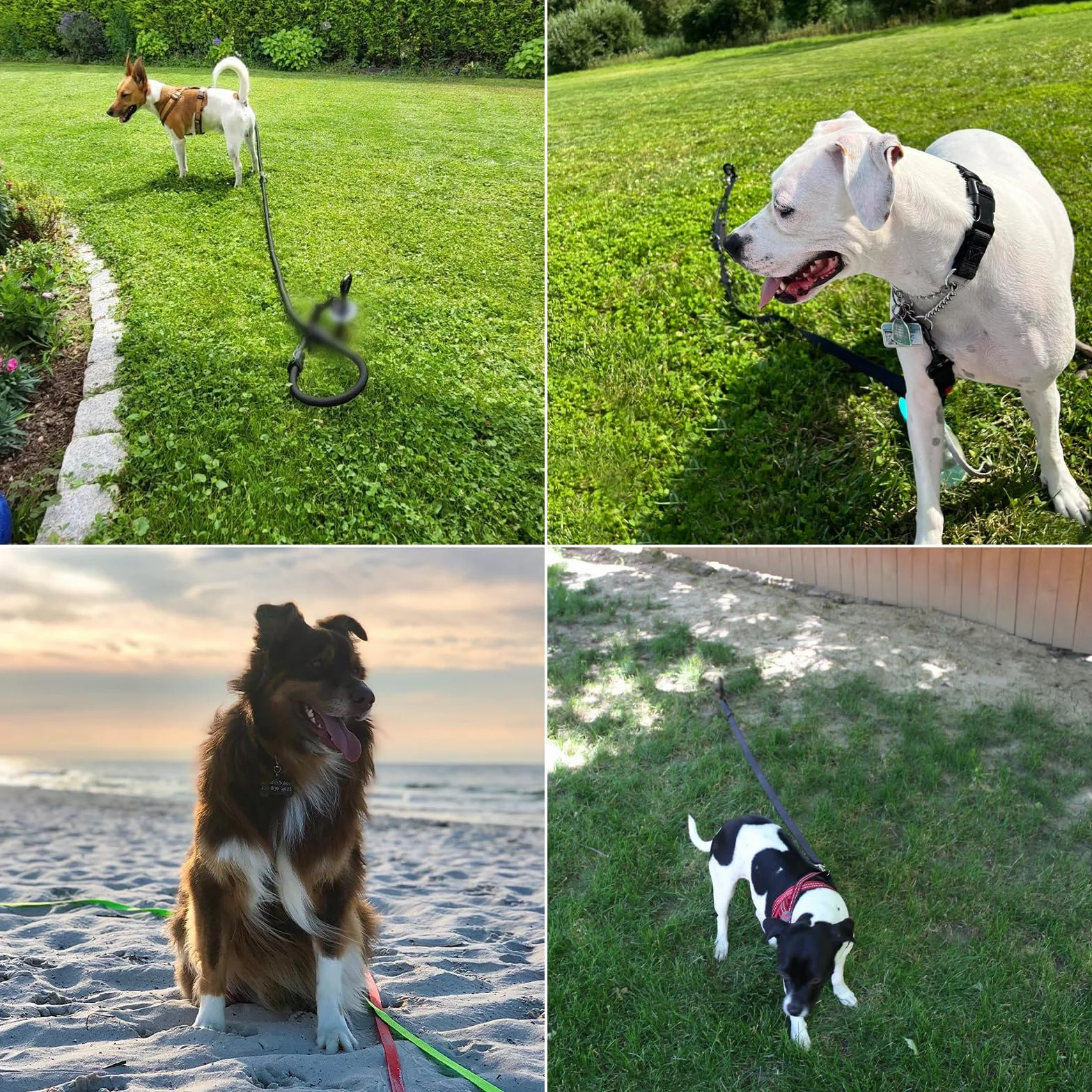 Palo per legare cani da 38,1 cm, picchetto di ancoraggio a terra, picchetto a spirale per guinzaglio per cani per campeggio all'aperto, palo resistente con chiave a T e presa