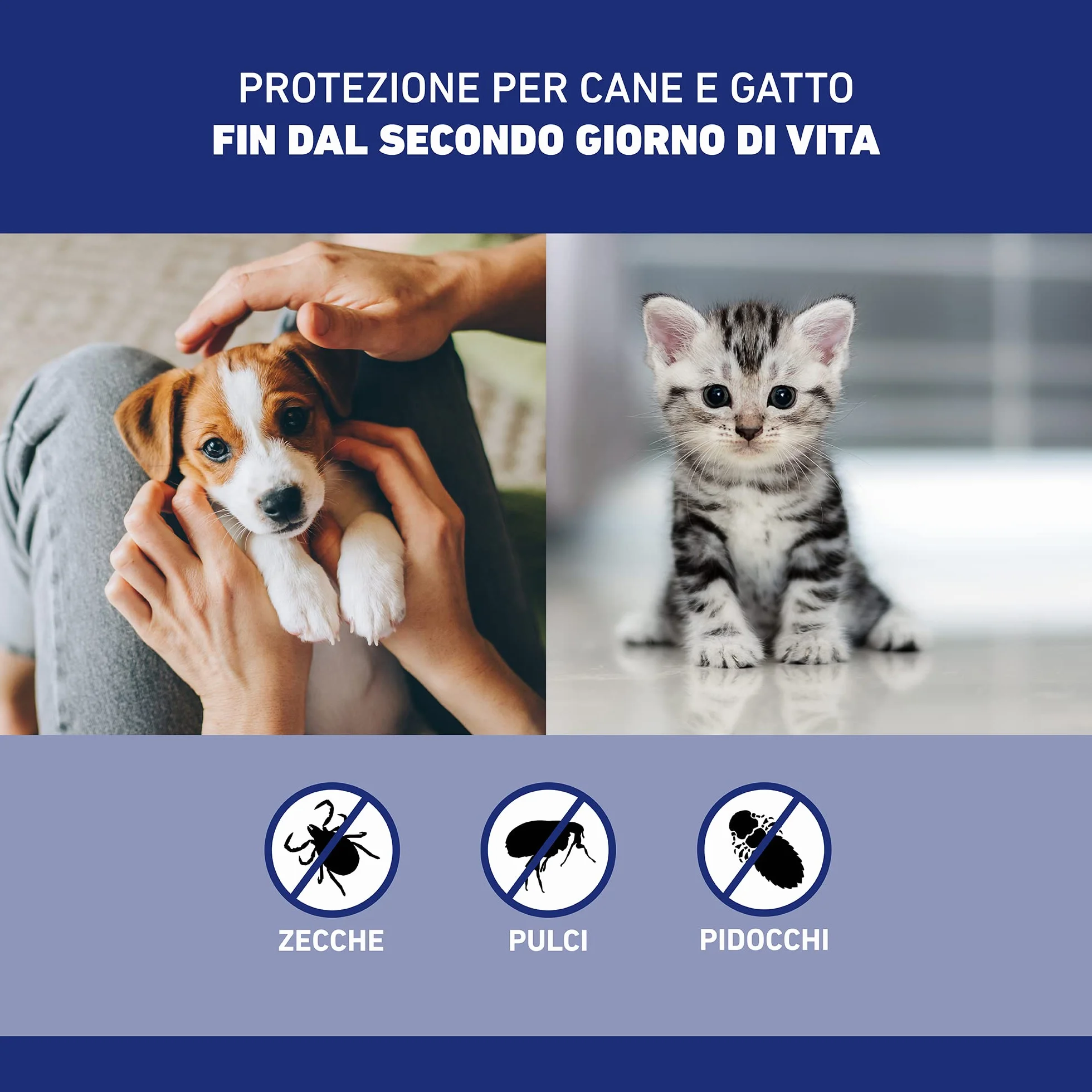 FRONTLINE Spray 250 ml, Antiparassitario per Cani e Gatti e Cuccioli dal Secondo Giorno di Vita, a Lunga Durata, Elimina e Protegge da Zecche, Pulci e Pidocchi