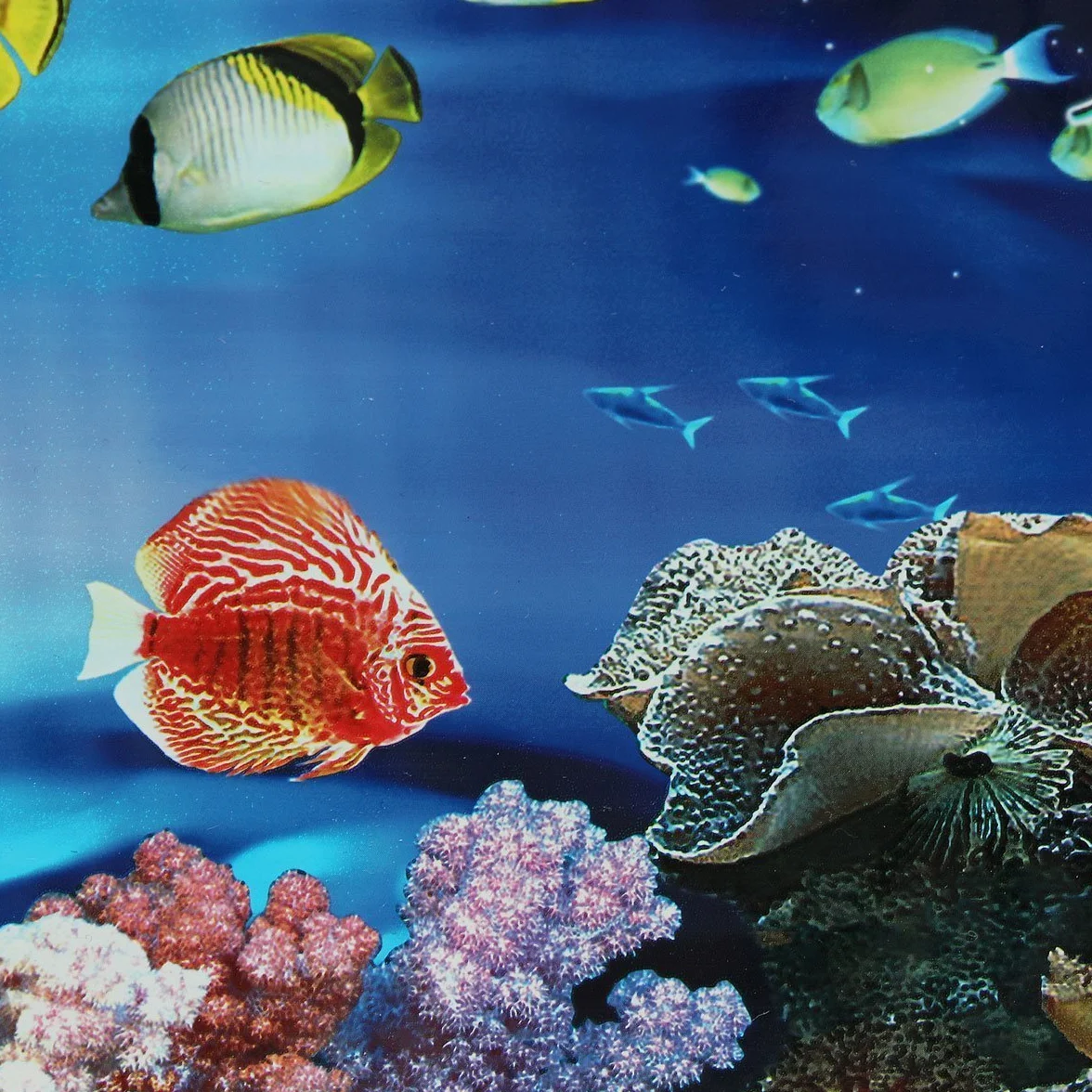 U-M Blu Mare Fresco Sfondo Acquario Oceano Paesaggio Poster Pesce Serbatoio Sfondo Doppio Faccia Carta