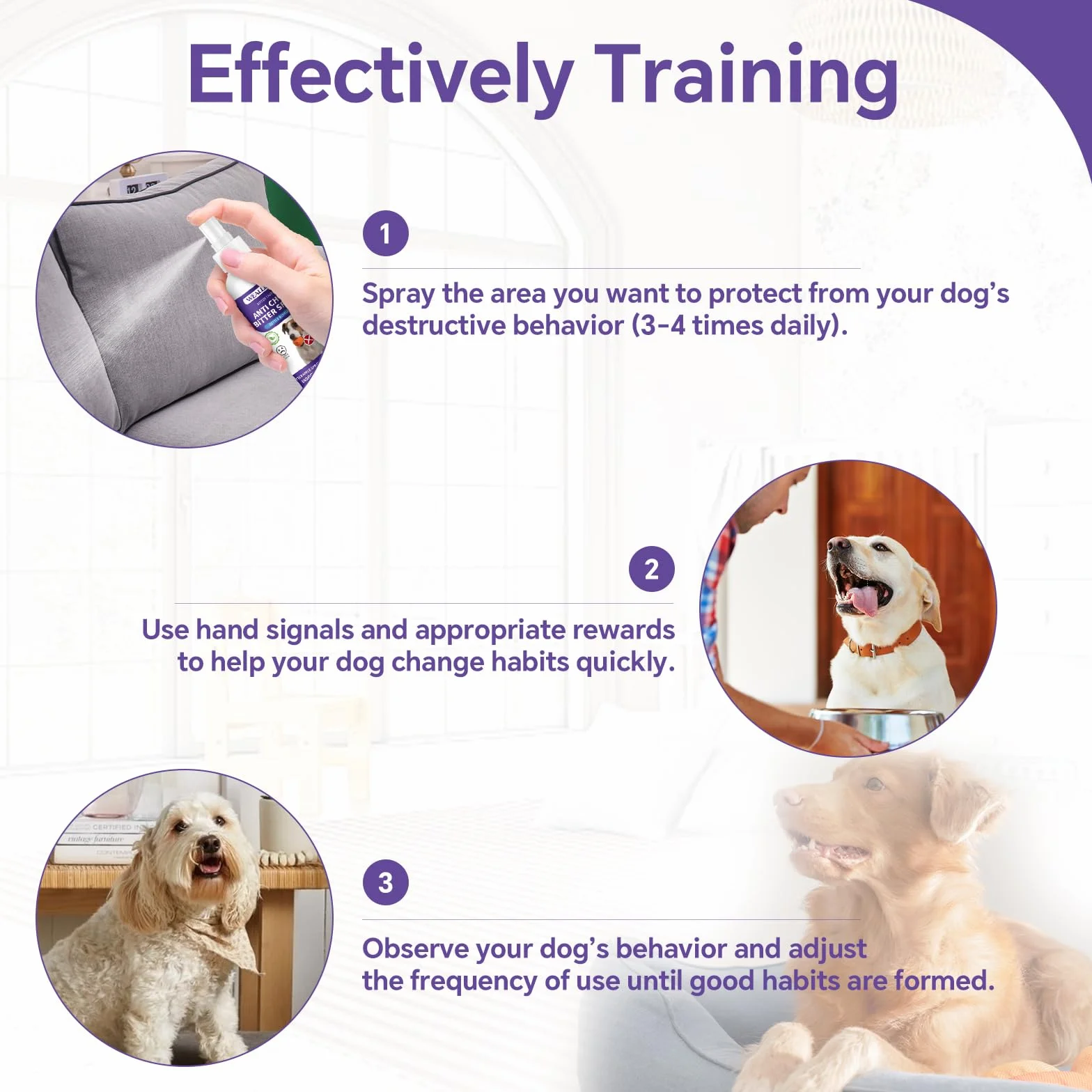 WEALLIN Spray Repellente per Cani, 200ml Repellente per Cani, Spray Anti-Masticatore, Spray Amaro per Cani per Mobili & Giardino, Sicuro per Uso Interno ed Esterno