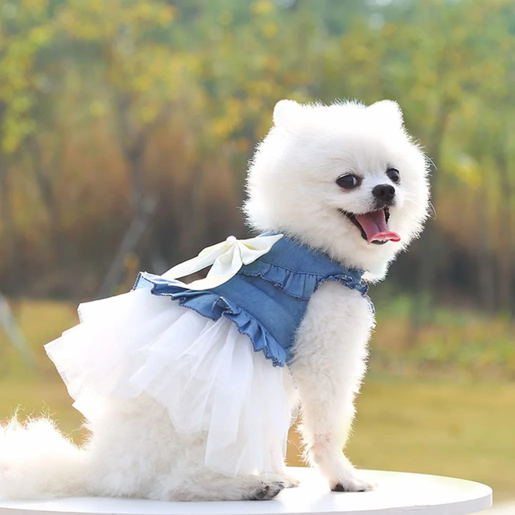 XIAOYU abiti per cani pet bowknot gonna principessa estate gilet per cani denin camicie prendisole dolce abiti da festa di nozze abiti per animali domestici abbigliamento, bianco, M