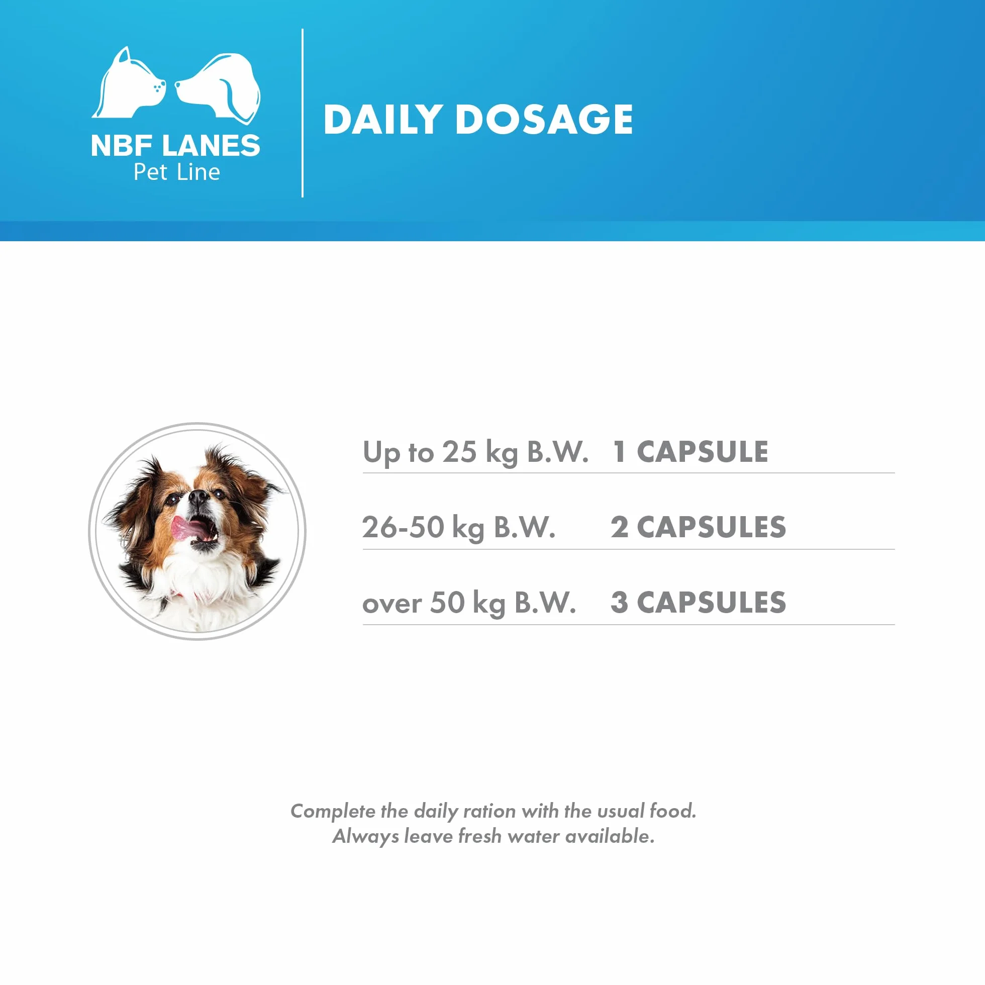 NBF Lanes | Reuteral Pet Cane, 30 Capsule, Probiotico a base di fermenti lattici vivi per la stabilizzazione della Flora intestinale nei Cani