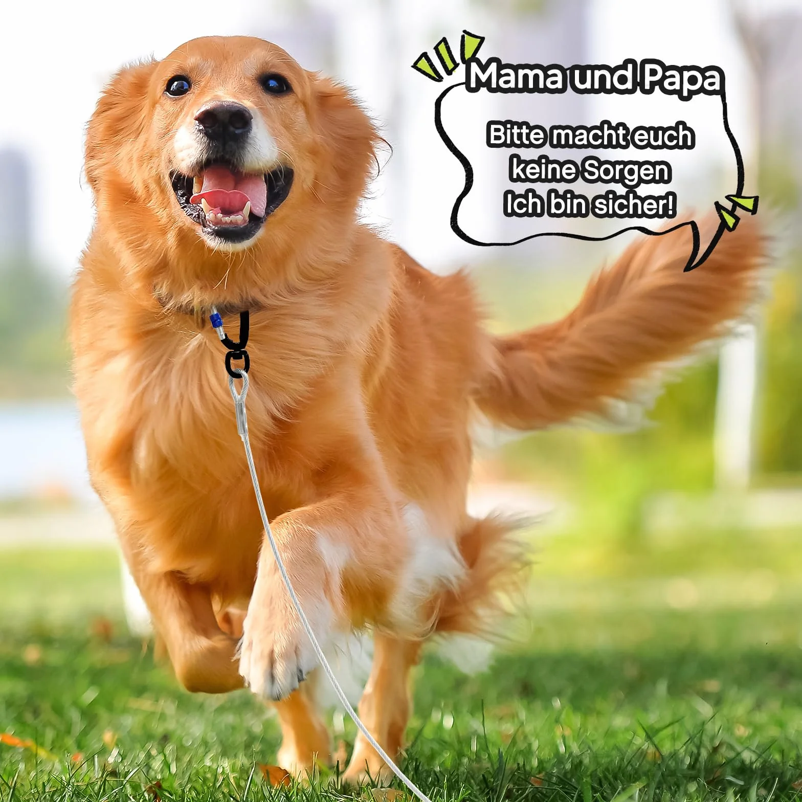 Cavo per legare cani da 3,5/5,8/7,8/15,7/15,7/15,7/15,7/15,7/15,7/15,6 m, cavo per cani da cortile e campeggio all'aperto, resistente alla masticazione, resistenza alla rottura di 453,6 kg