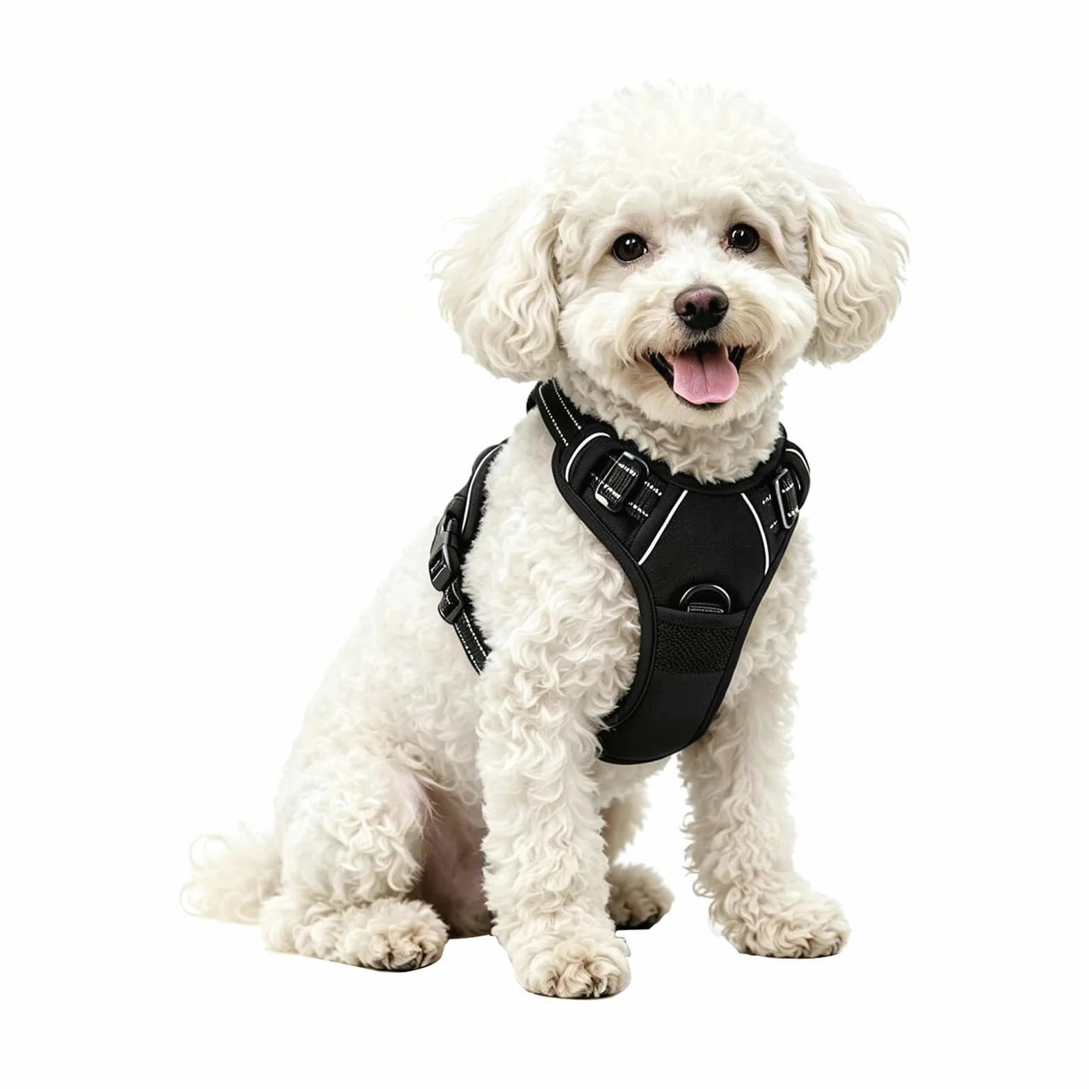 Pettorina per cani con guinzaglio, traspirante, con clip anteriore e posteriore, riflettente, regolabile, maniglia di controllo per cani di taglia piccola, media e grande per passeggiare, S