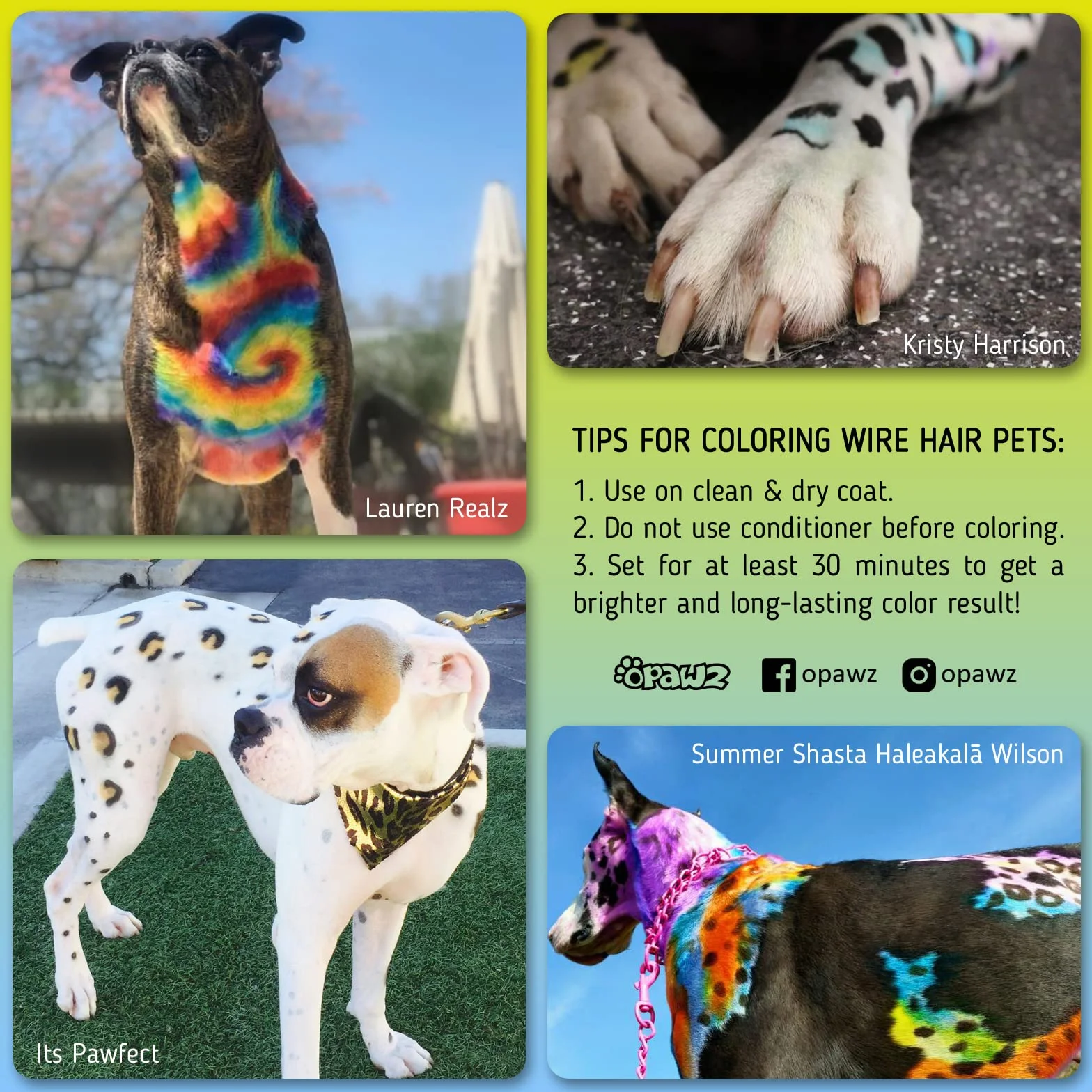 Opawz Permanente Tintura per Cani, Saloni Utilizzata Sicuro per Un Decennio Colorante per Cani, Tintura per Animali Dura Oltre 20 Lavaggi per Cani e Cavalli (Caldo Rosso)