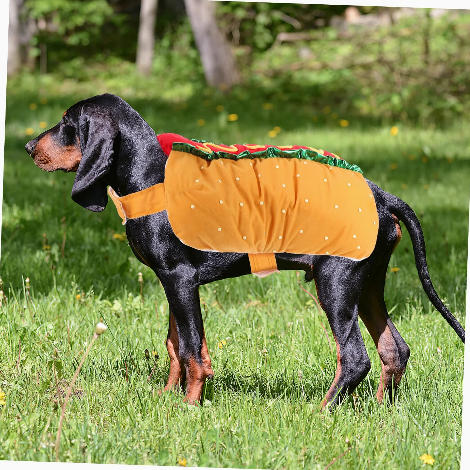 Costume Riscaldante per Gatto e Cane Feste Natalizie e Party Generale Poliestere Arancione