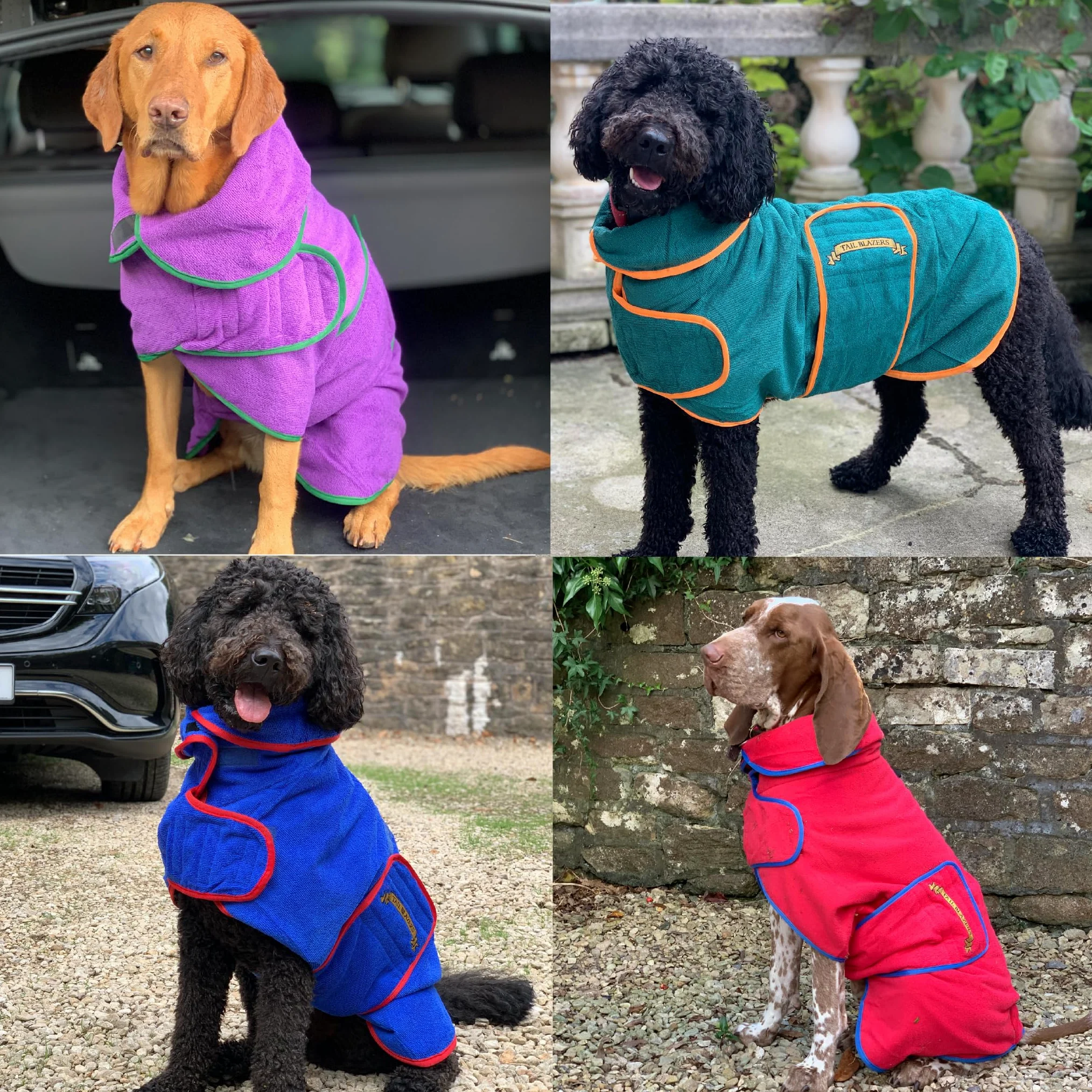 Super assorbente cane asciugatura cappottino doppio strato microfibra Dry Robe con sicurezza auto D Ring asciugamano accappatoio Pet Dryer mantiene i cani asciutti e caldi. Accessori