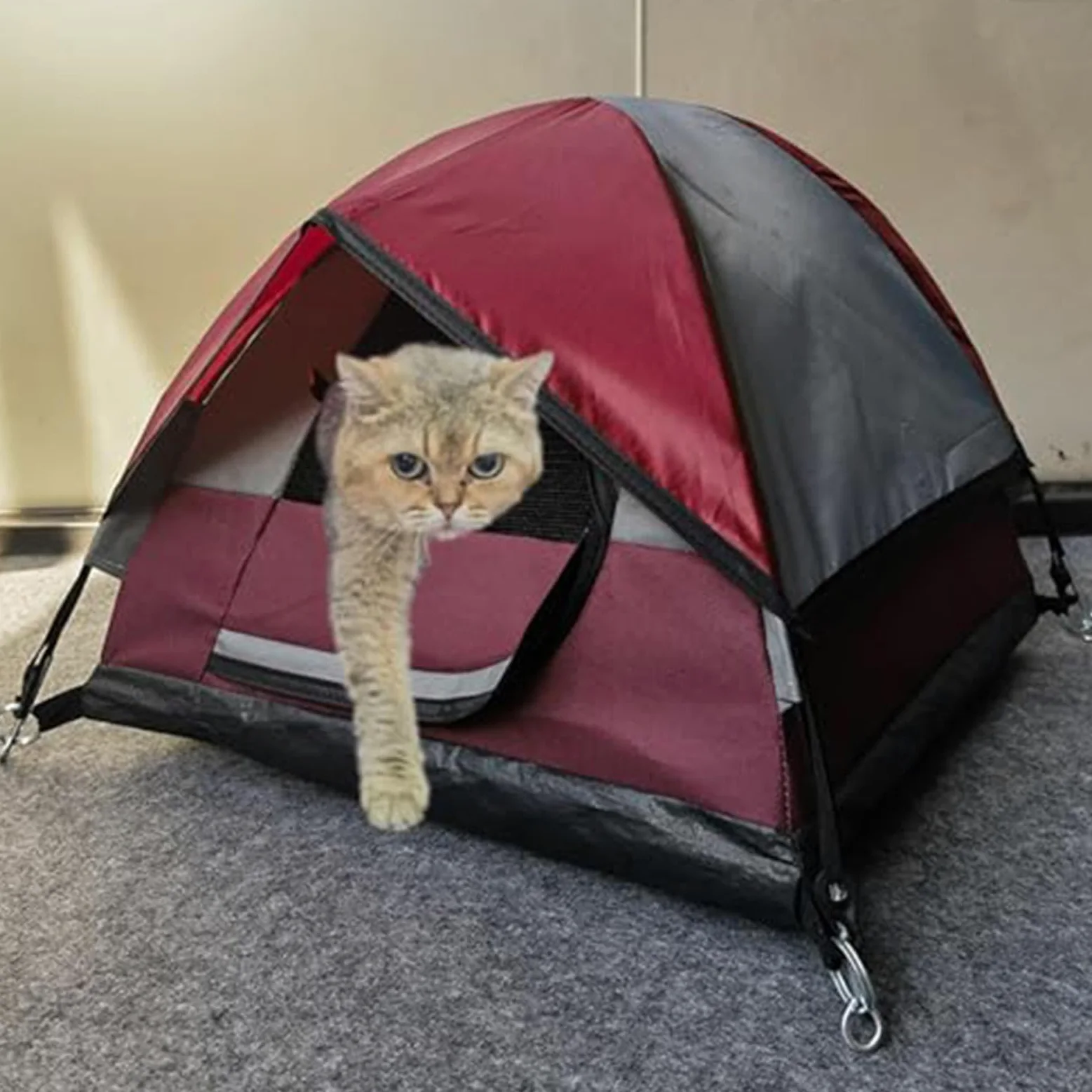 Generico Tenda da per gatti, Tenda da per gatti per da campeggio | Tenda per gatti impermeabile Tenda per animali domestici da esterno per cuccioli, cani, animali di piccola tagl
