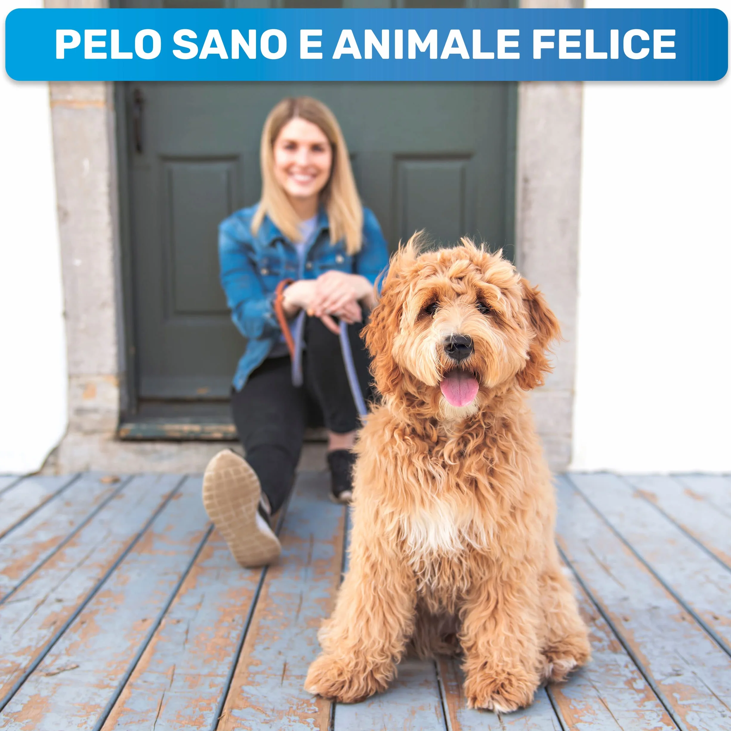 BluePet Spazzola per Cani e Gatto a Pelo Lungo e Medio, Pettine Cardatore Sottopelo Doppia Faccia