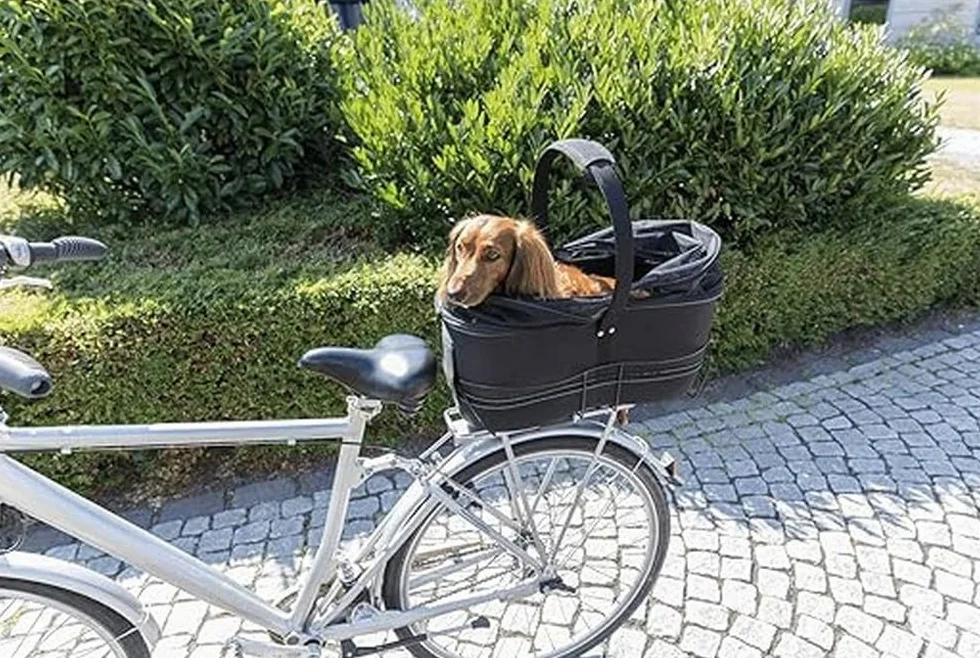 Trixie Cestino Bici Lungo per Cani – Portapacchi Posteriore – Fino a 8 kg – 29 × 49 × 60 cm – Telaio in Metallo Resistente con Imbottitura Morbida, Cinghia & Coperchio a Rete