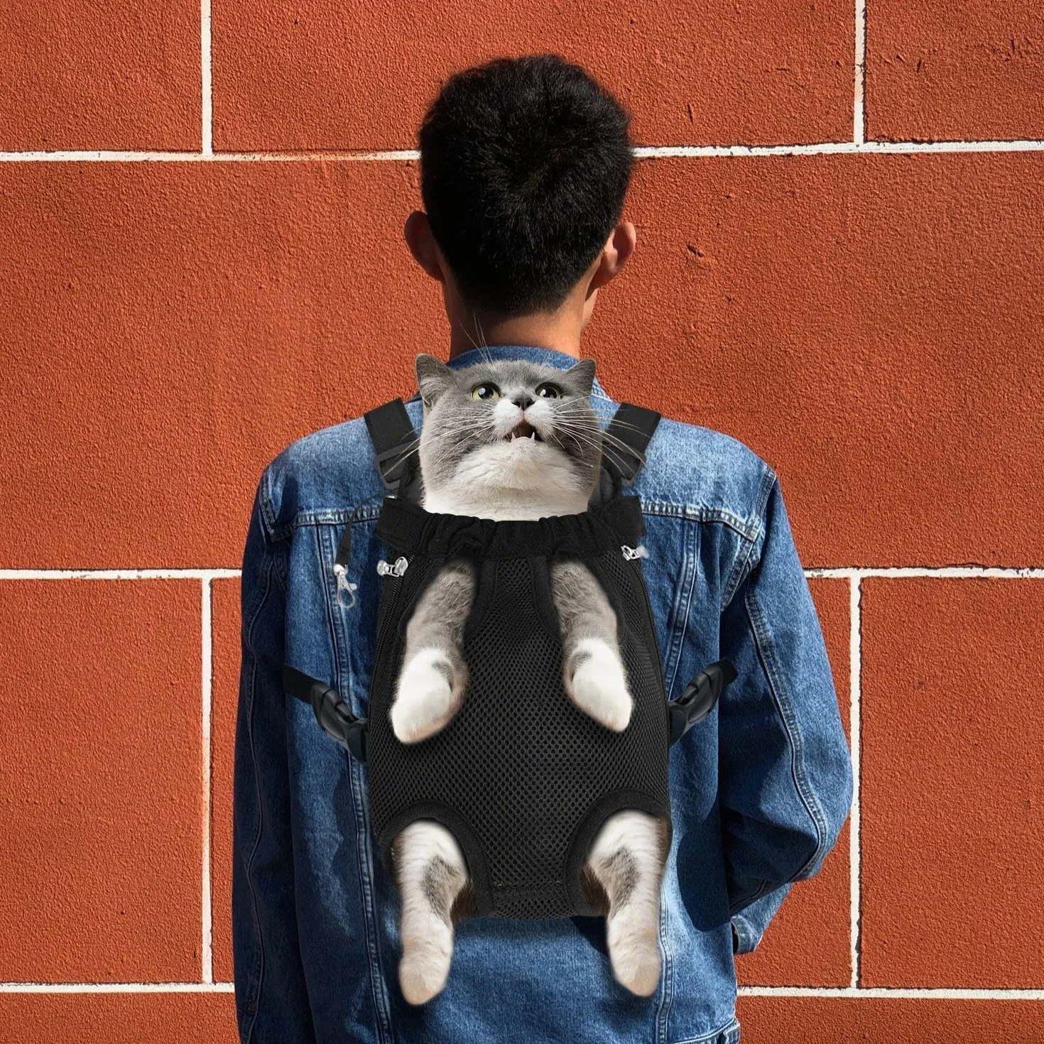 Zaino per Animali Domestici Neri da 1 Pezzo, Maglia Traspirante, Tessuto Comodo, comodità Esterna, Zaino per Gatti E Cani Regolabili, Forniture per Animali Domestici.