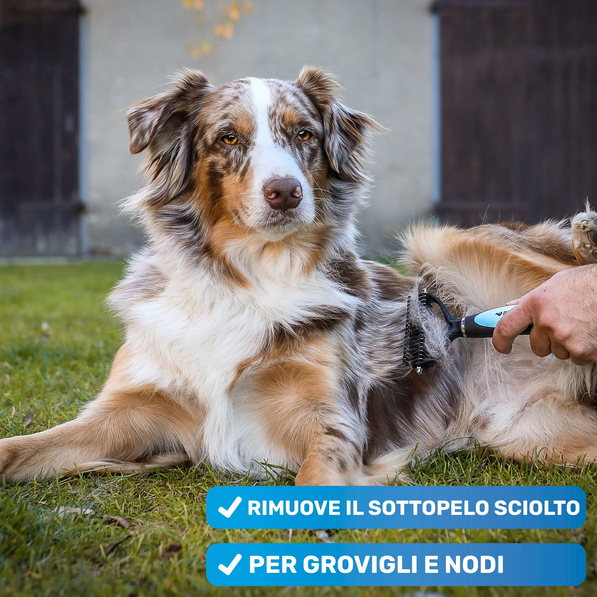 BluePet Spazzola per Cani e Gatto a Pelo Lungo e Medio, Pettine Cardatore Sottopelo Doppia Faccia