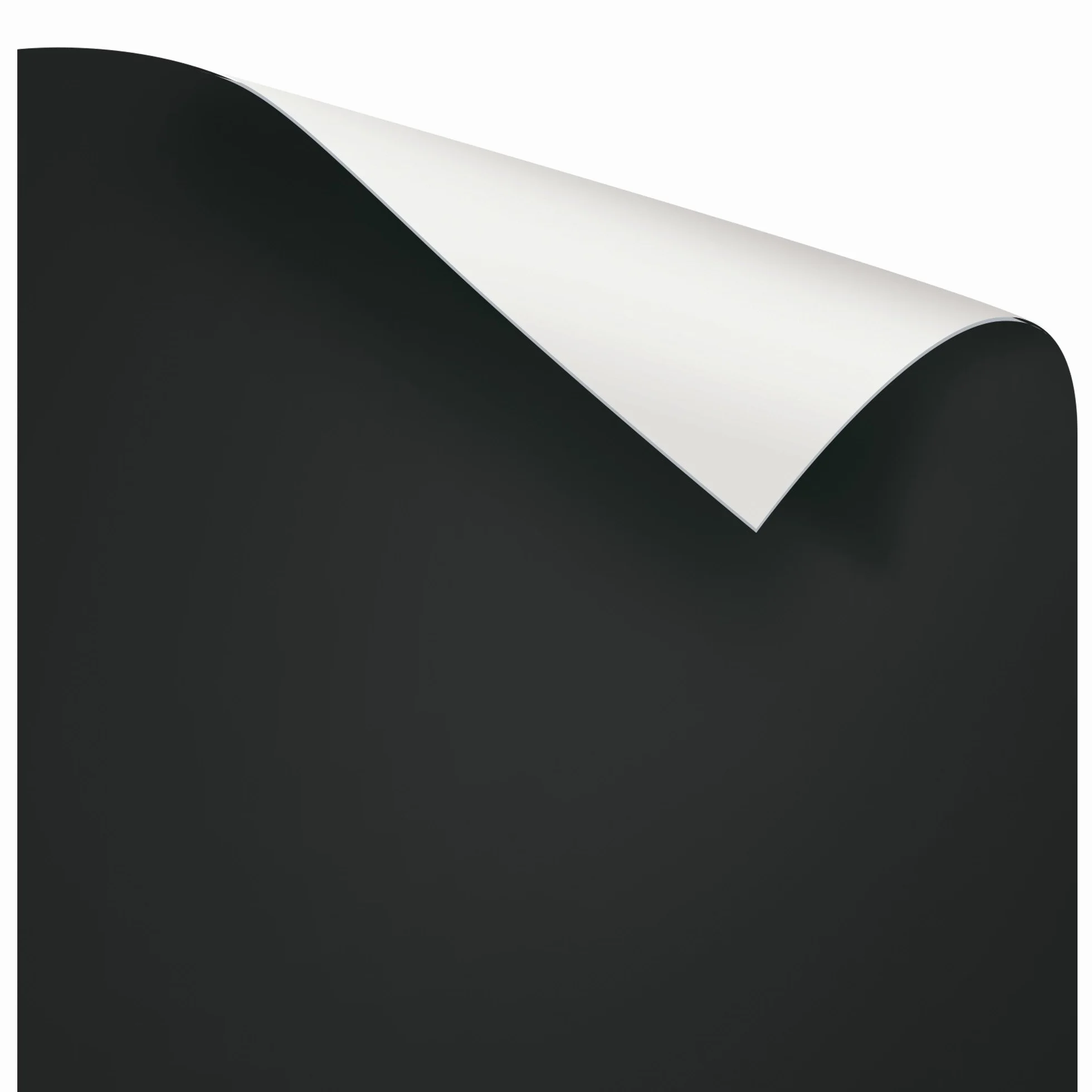 Juwel - Poster 3 set di sfondo per acquariofilia, nero/bianco 150 x 60 cm, taglia L