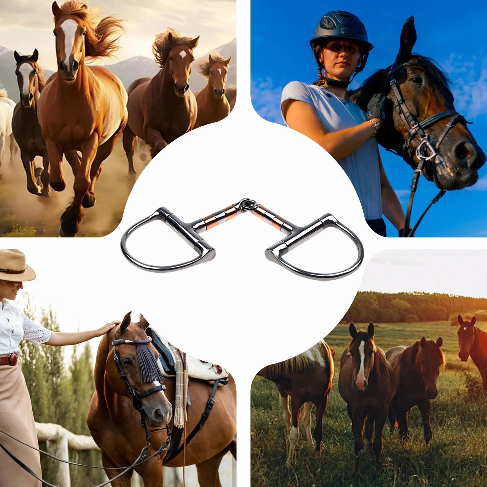 Morso per cavallo con anello a D | Morso per cavallo con bocca a rullo in rame - Morso per cavallo a snodo singolo, filetto con anello a D per forniture equestri