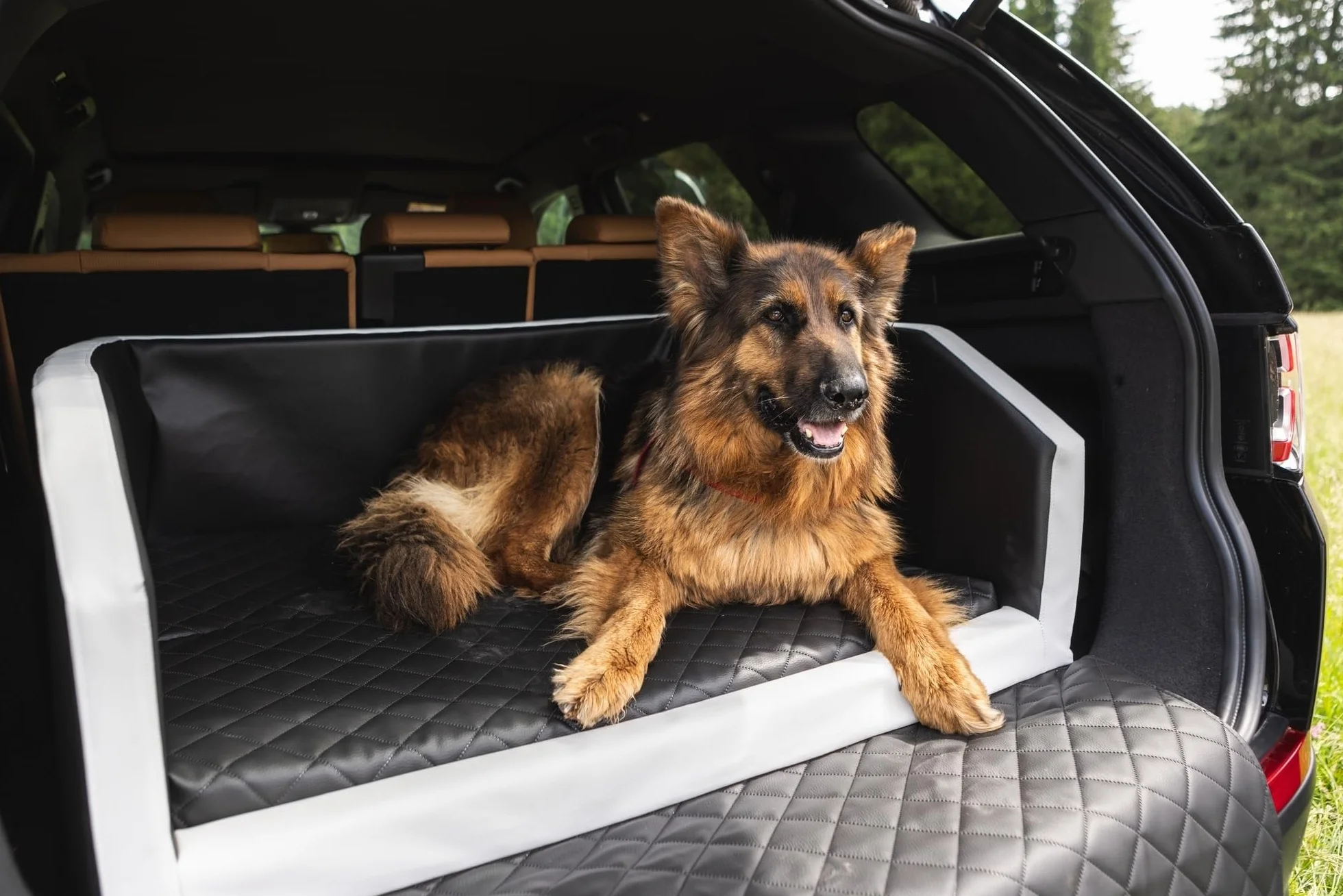 Velinda Trasportino Auto per Cani Materasso Bagagliaio Letto Macchina Cintura 100x70cm (Colore: Nero)