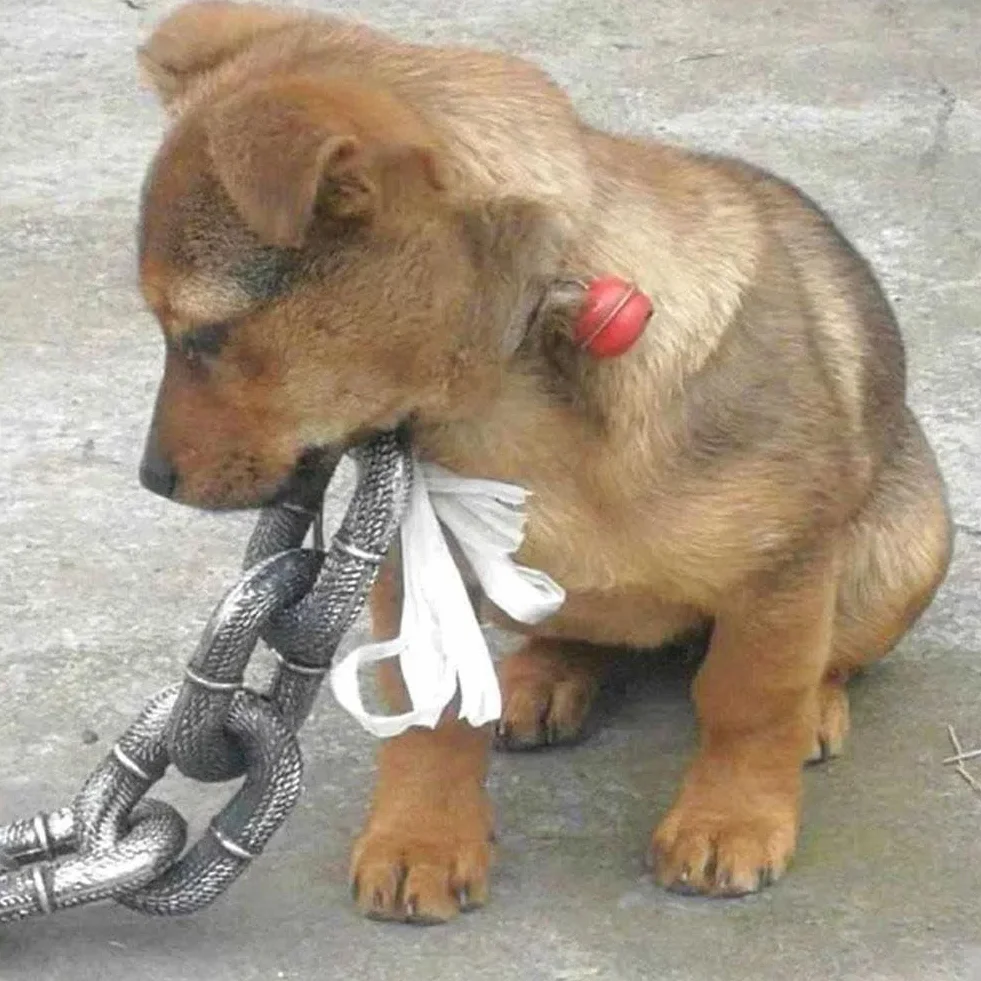 Falsa catena grande per cani, interessante catena realizzato in materiale plastico che imita la catena di ferro, solo per cani di piccola taglia, gatti e cuccioli, chihuahua, barboncino toy,