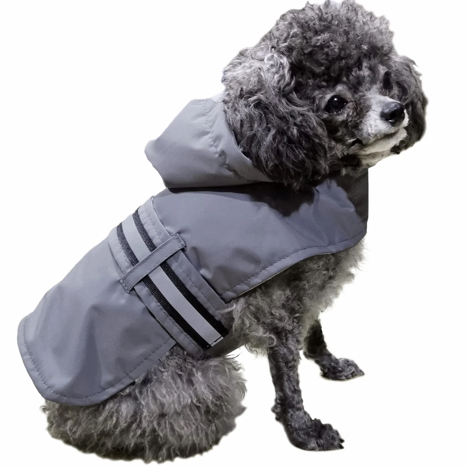 LeerKing Impermeabile per Cani con Giacca Morbida Fodera 10 taglie per Tutte le Razze Cani di Piccola Media Large Taglia Grigio 3XL