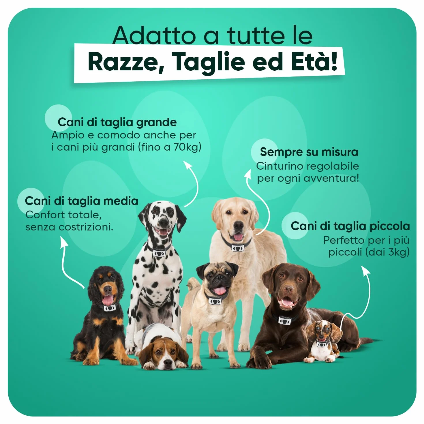 Collare Antiabbaio per Cani Educativo e Innocuo, Collare Cane Vibrazione con 8 Livelli e Suoni Regolabili, Collare Addestramento Cani Fino a 70kg, Senza Scossa, Ricaricabile, 7 Livelli di Sensibilità