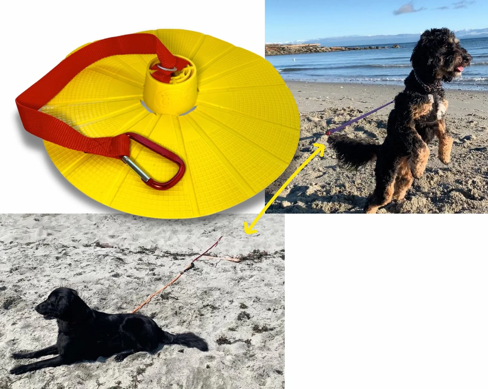 BeachGrip Ancoraggio per cani da spiaggia, progettato per funzionare nella sabbia, piccolo, leggero, facile da usare e durevole, l'accessorio per portare il vostro amico a quattro zampe in spiaggia