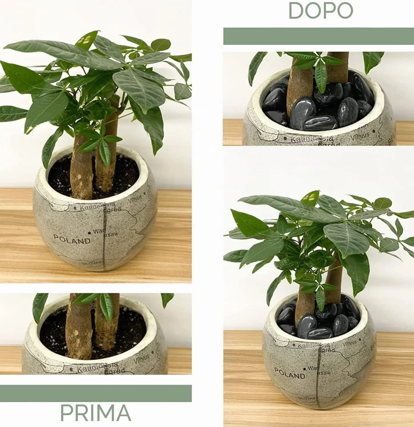 LATERN 1KG Ciottoli Naturali, Pietre di Fiume Lucidate Nere Ciottoli Decorativi Rocce di Fiume per Piante di Bambù, Acquario, Riempitivi per Vasi, Giardino delle Fate, Decorazioni per Acquari