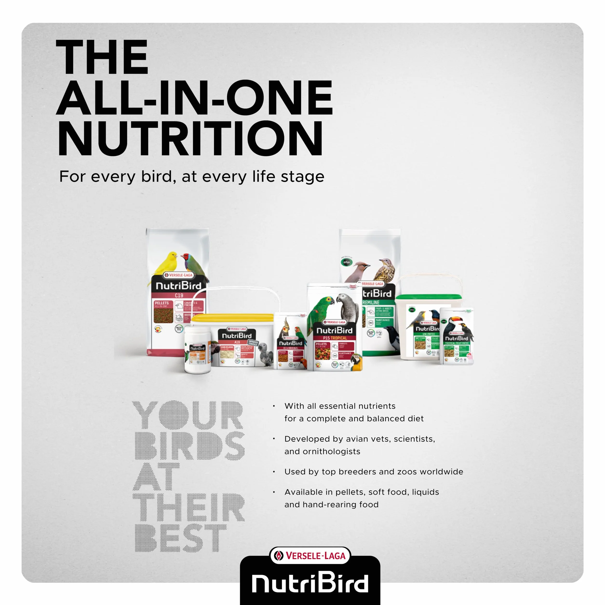 Versele-Laga NutriBird A21 Alimento manuale per uccelli 250 g