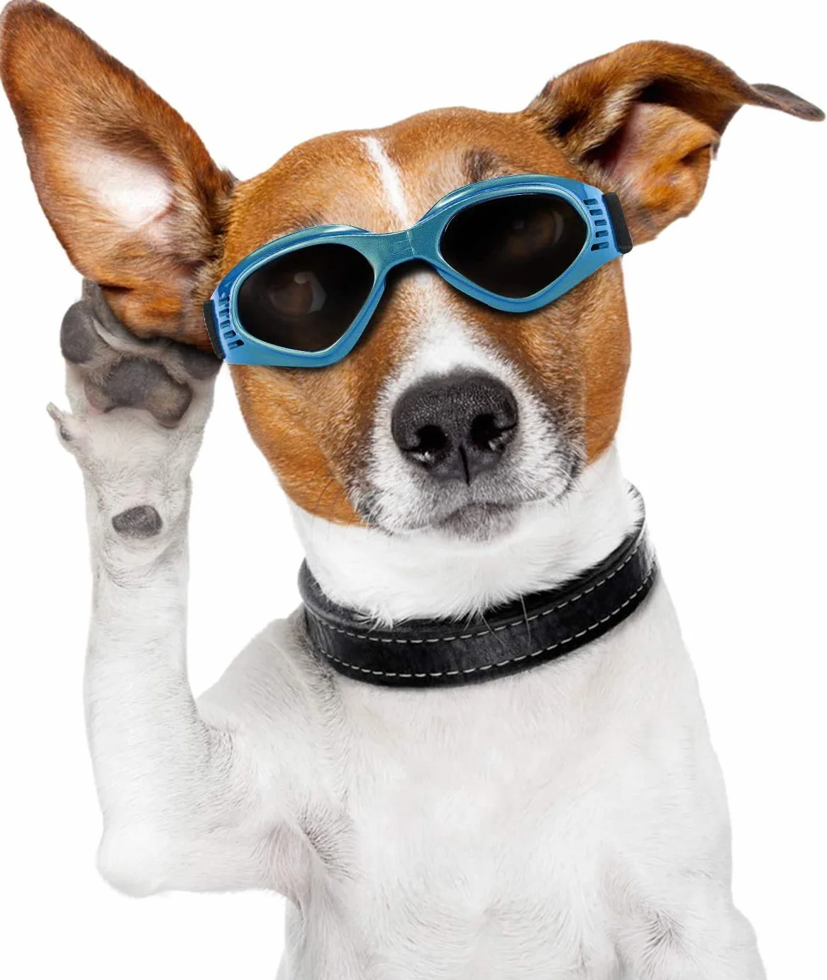 Occhiali da Sole e protettivi per cani di piccoli taglia, anti UV, impermeabili, Pieghevole Pet Dog Occhiali (Blu)