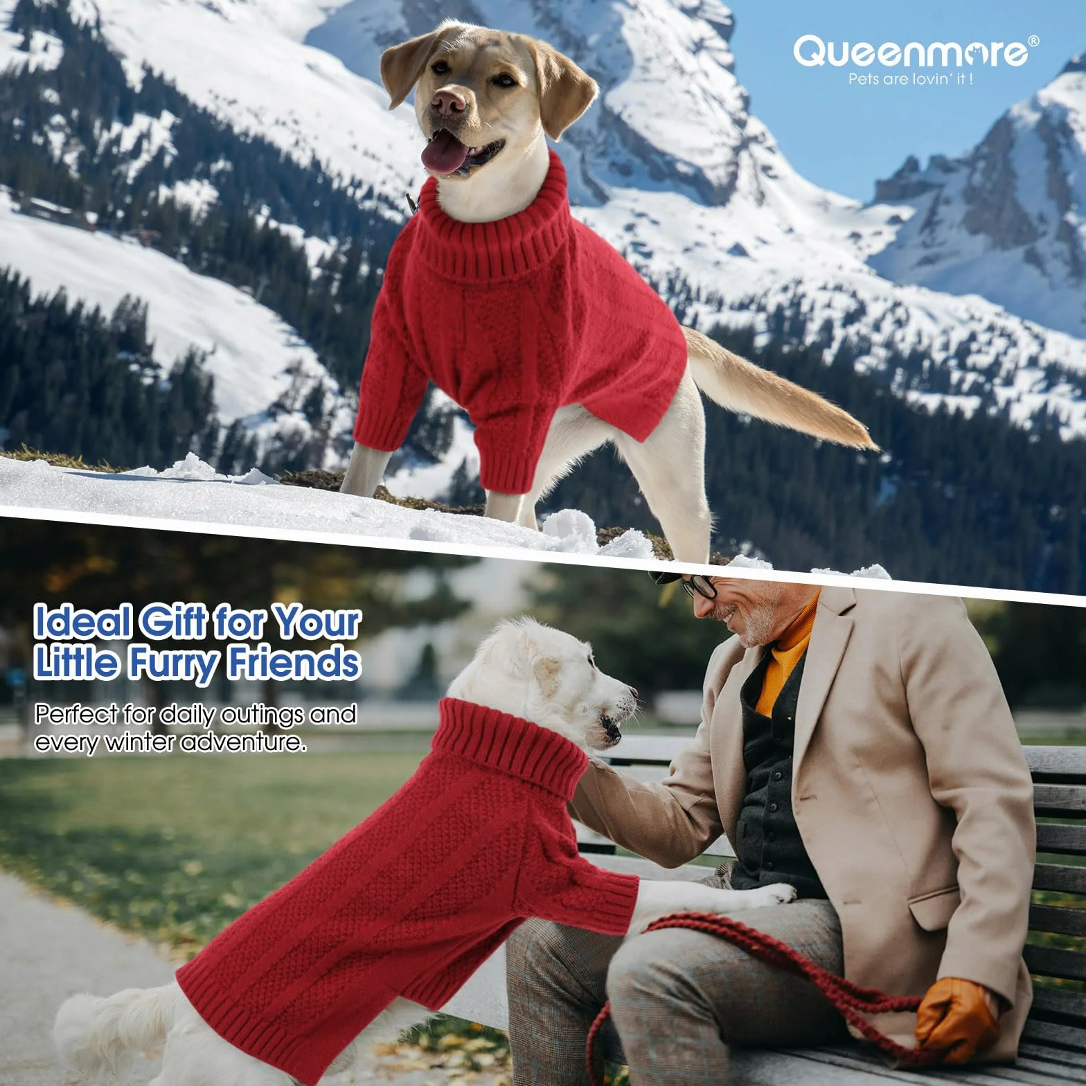 Queenmore Maglioncino Cane Taglia Piccola Collo Alto Vestito Cockapoo Rosso S