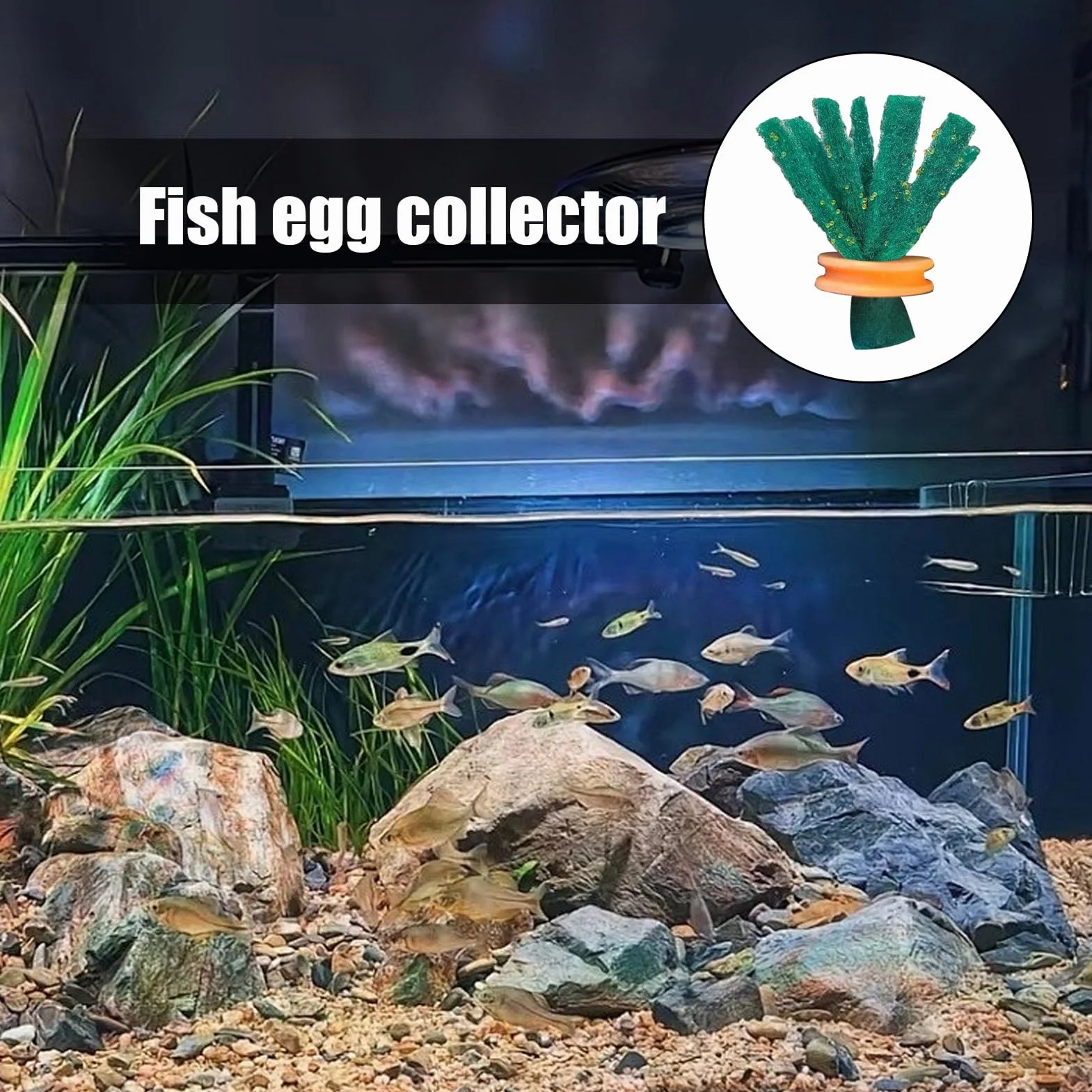 10 per la deposizione delle uova 'acquario – per allevamento di pesci | da allevamento | raccoglitore di uova per acquario fatto a mano | letto galleggiante sicuro per Medaka e